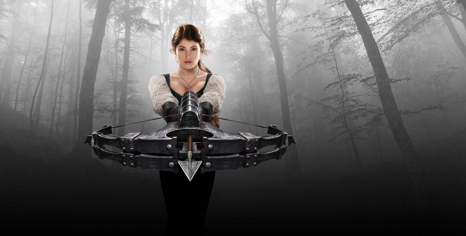 Wallpapers adventure banner Witch hunters 2013 film on the desktop