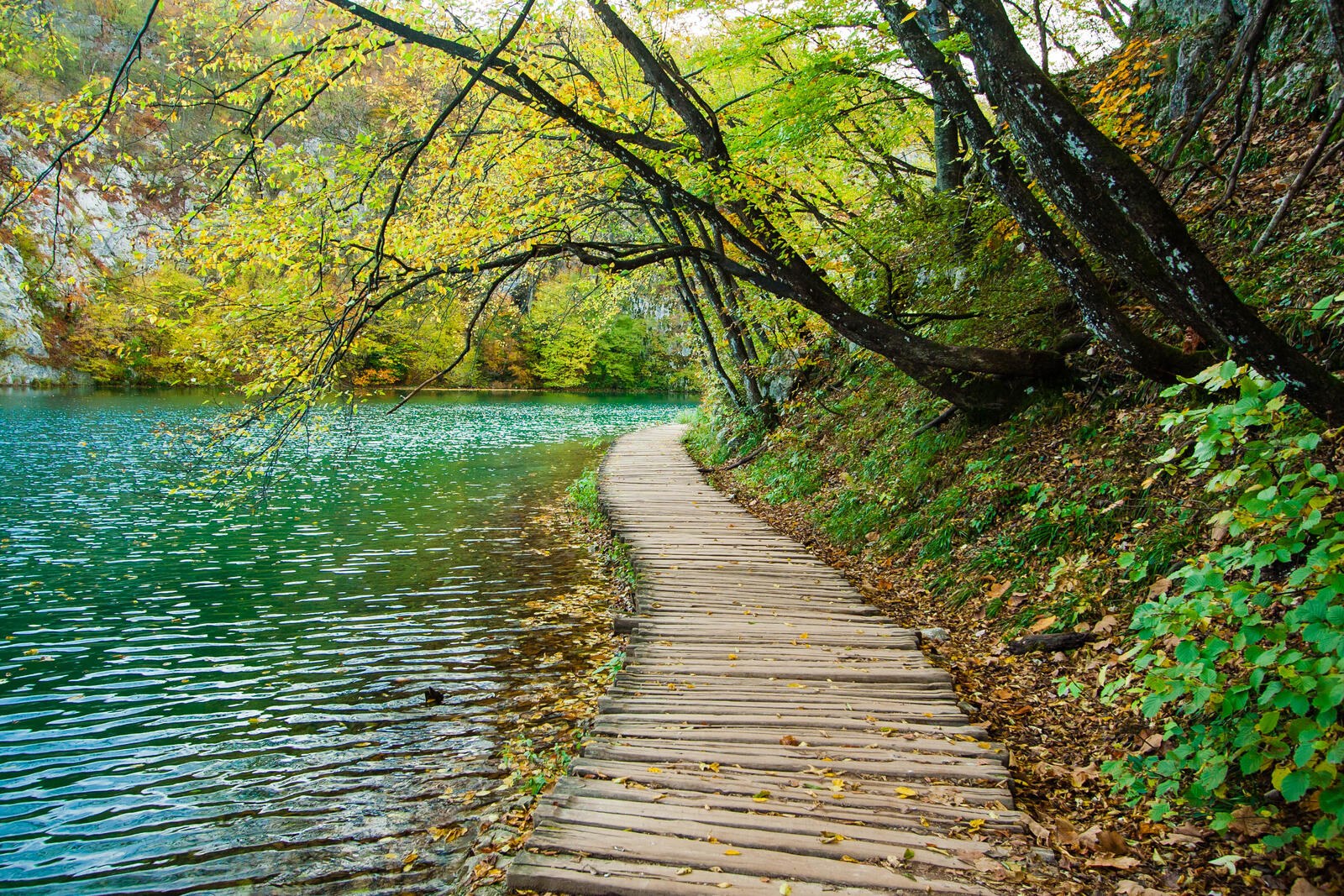 Обои Хорватия мост национальный парк Плитвицкие озера на рабочий стол