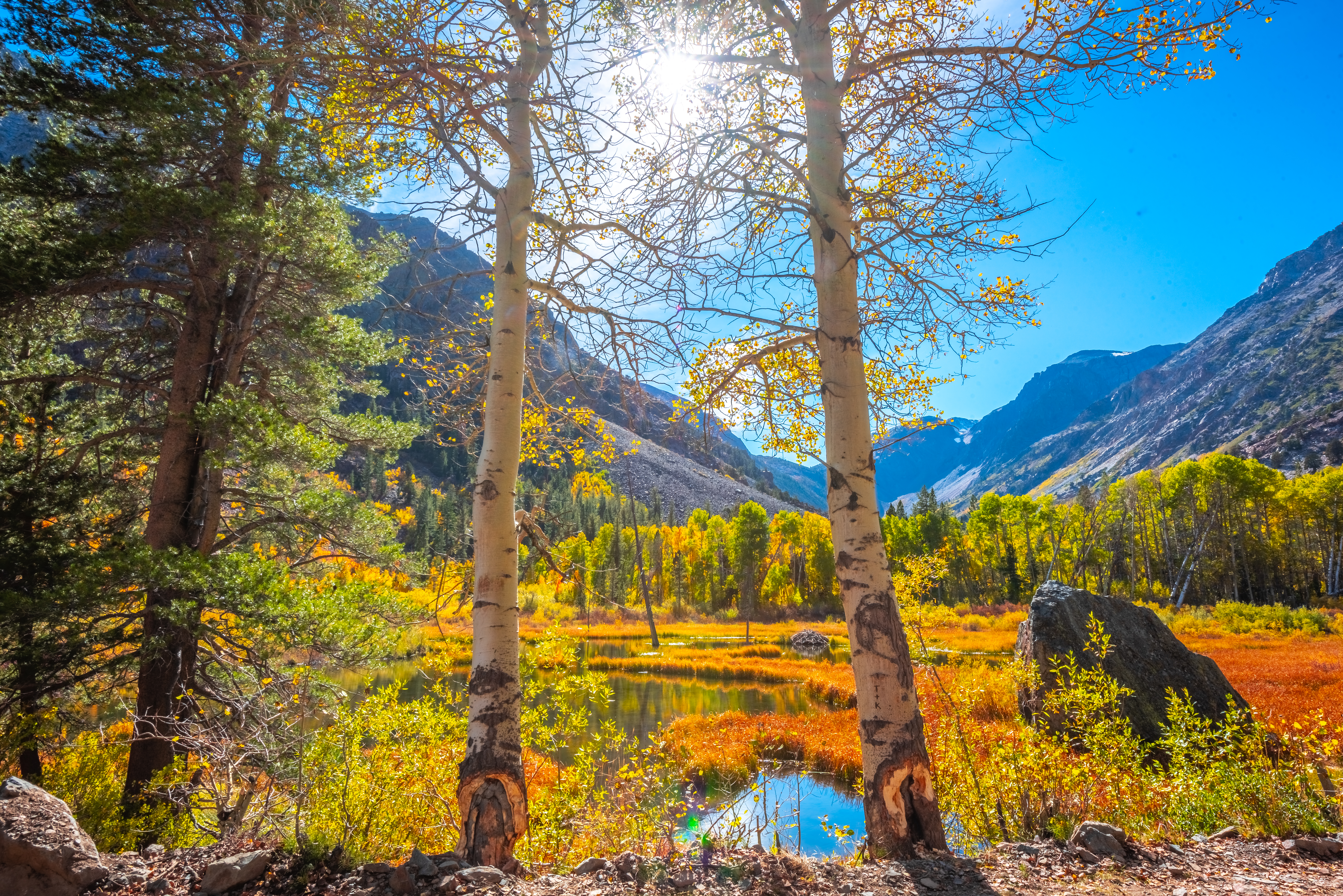 Wallpapers Autumn colors Lundy Canyon California on the desktop