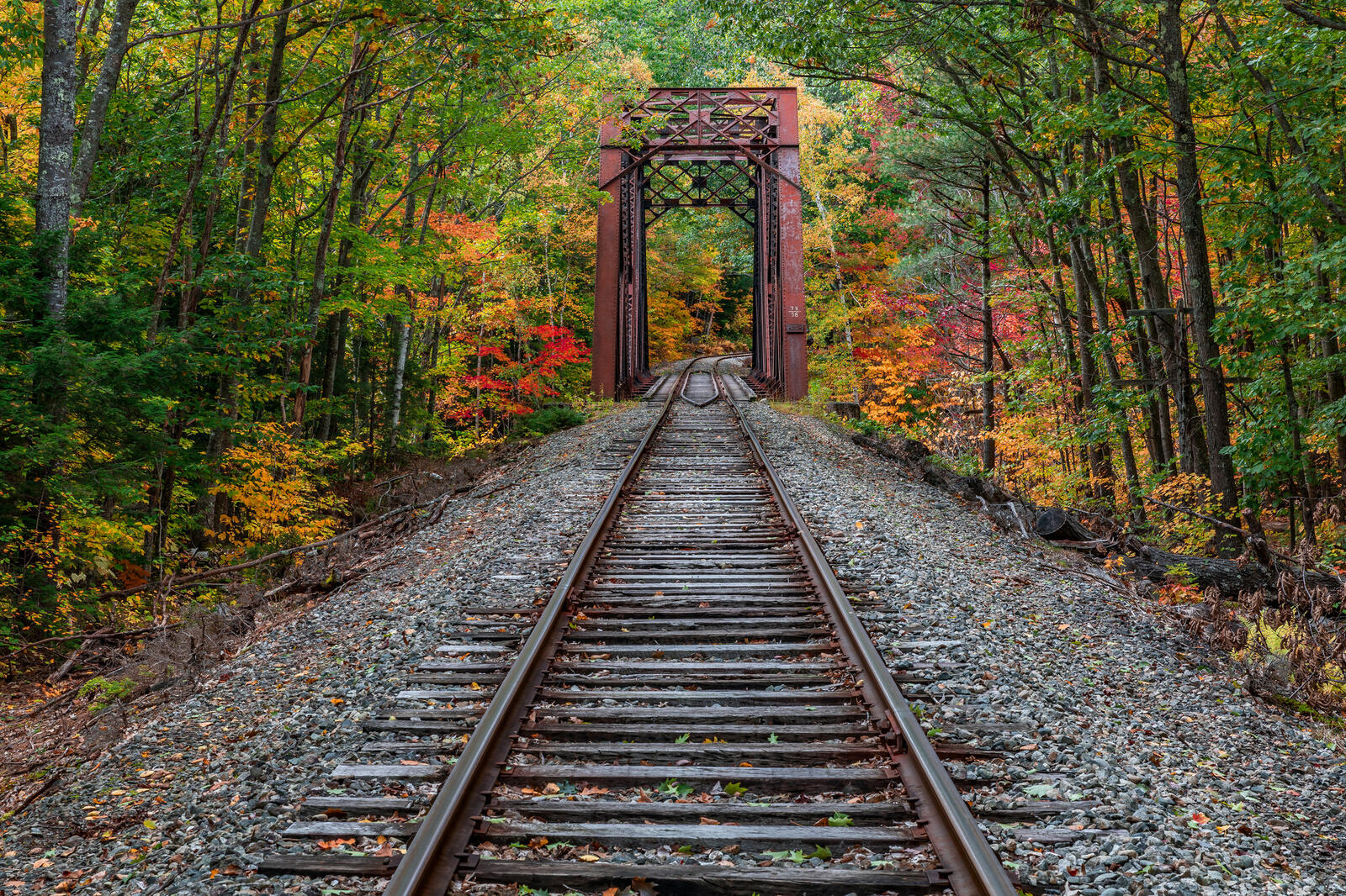 Wallpapers autumn railway bridge on the desktop