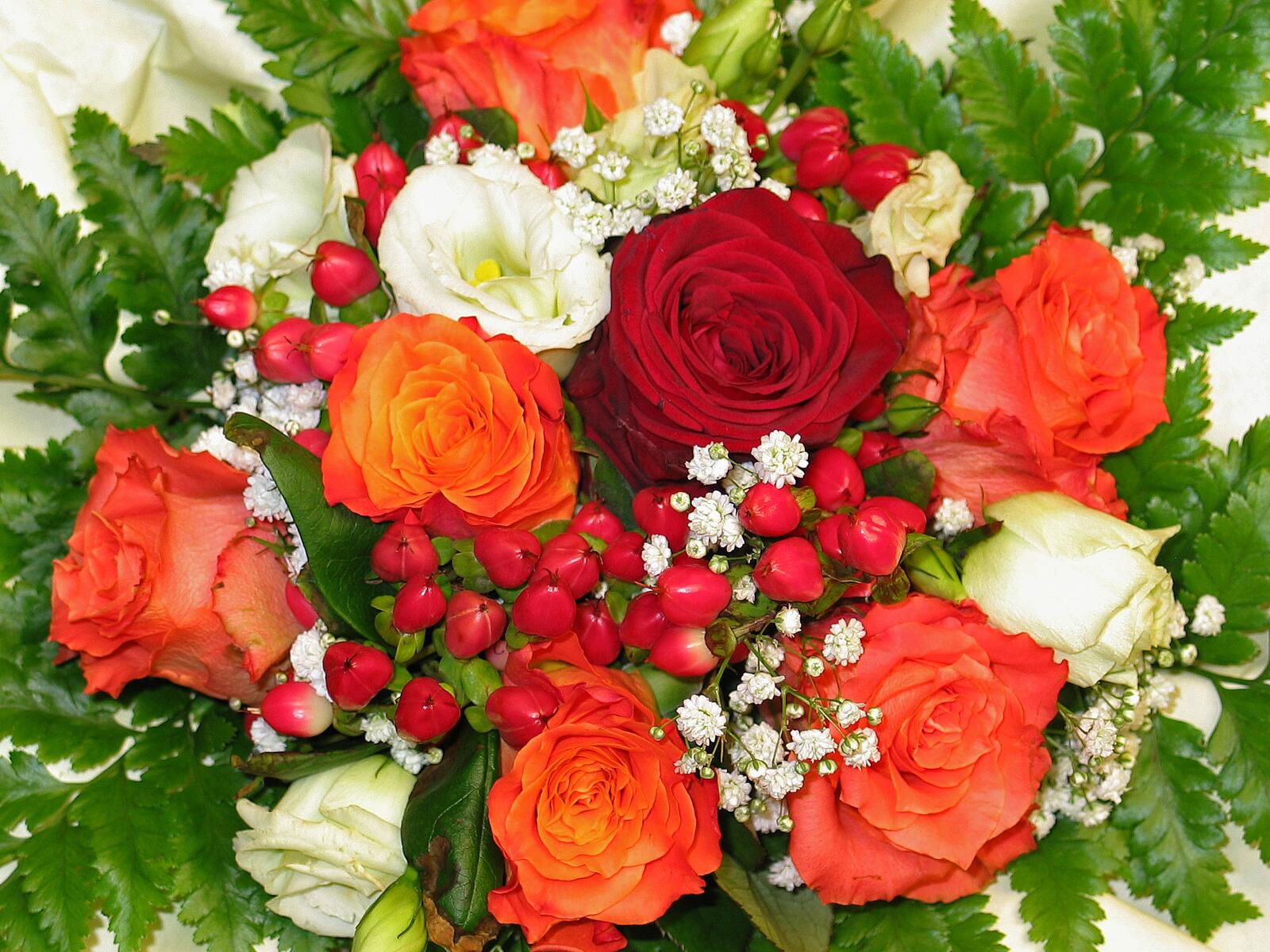 Обои цветы флора красочные на рабочий стол