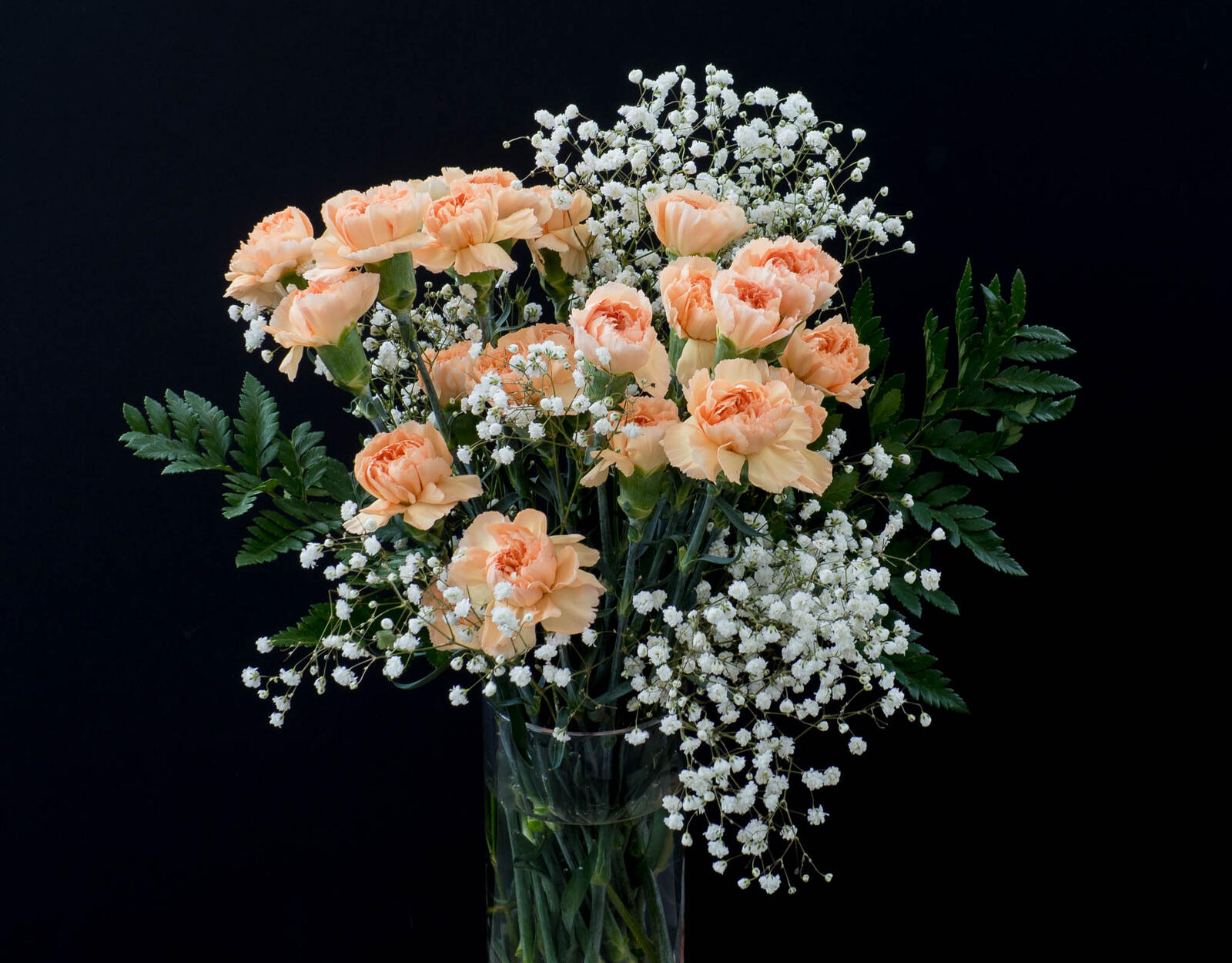 Wallpapers carnations bouquet vase on the desktop
