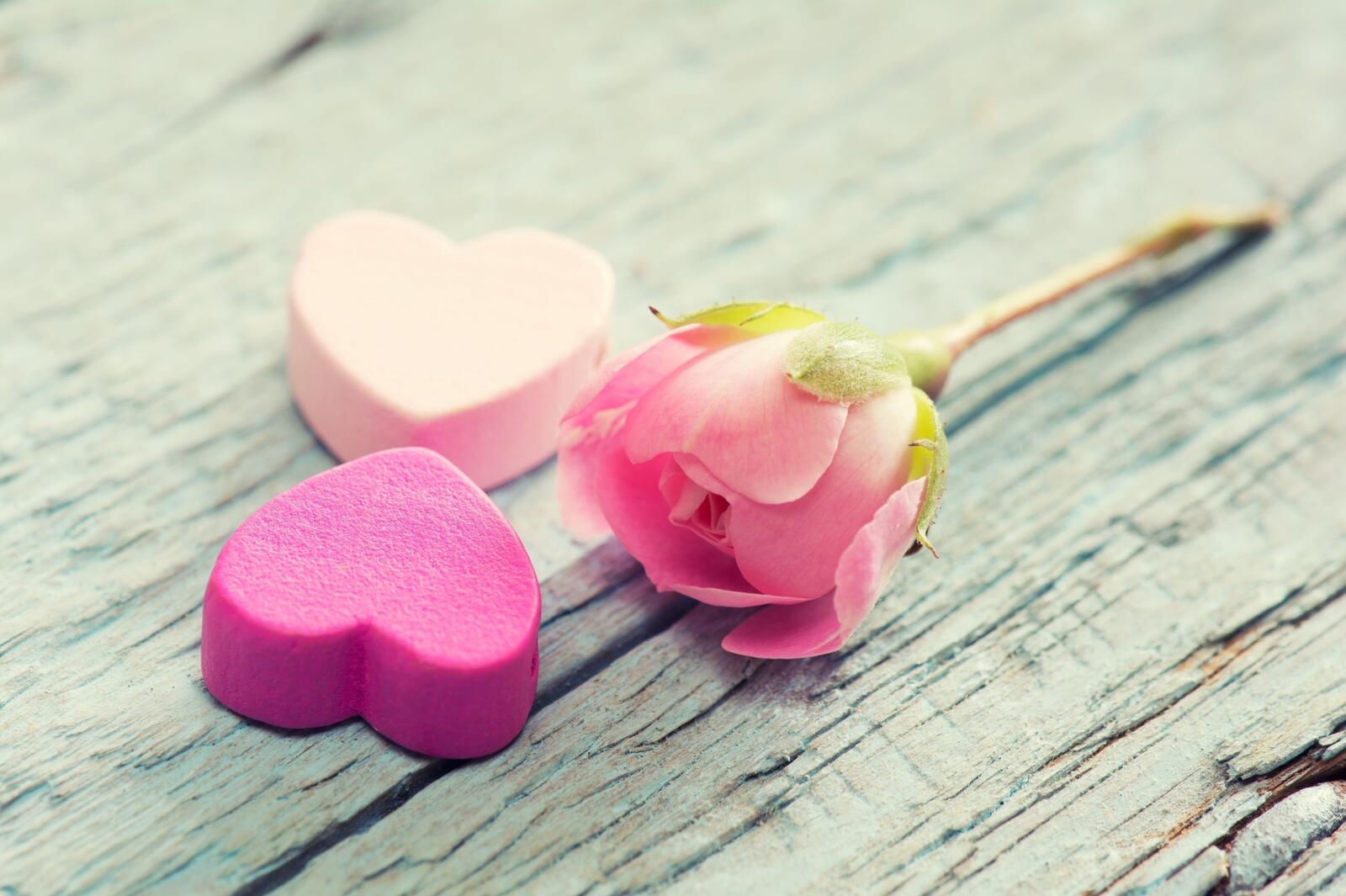 Обои любовь роза сердечки на рабочий стол