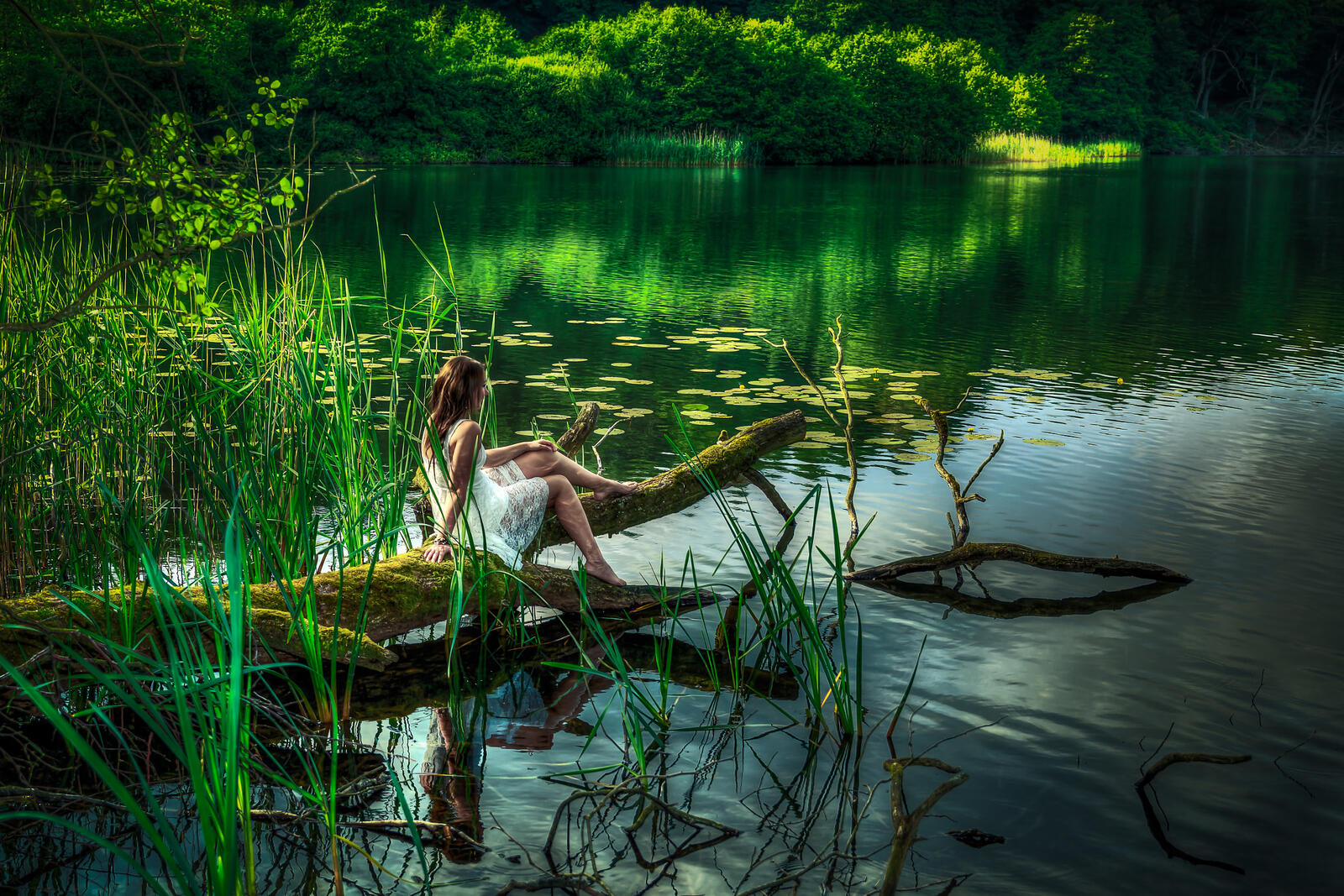 Wallpapers the lake the girl on the beam summer on the desktop