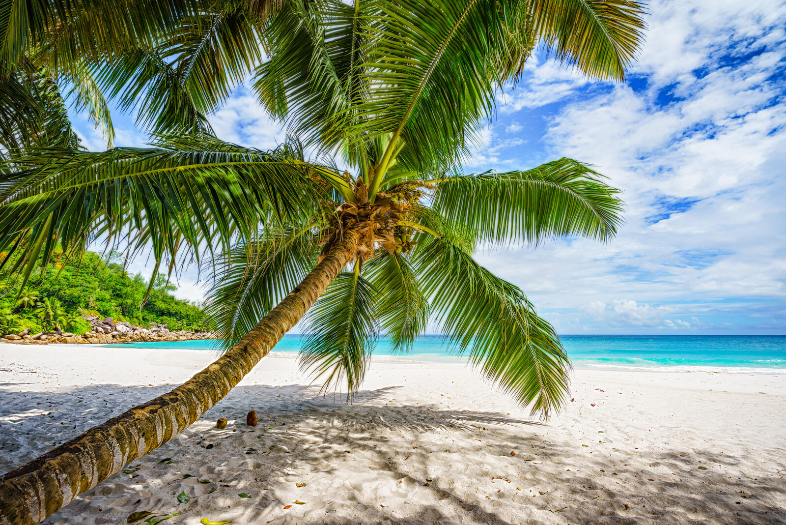Обои Сейшельские острова пейзаж тропики на рабочий стол