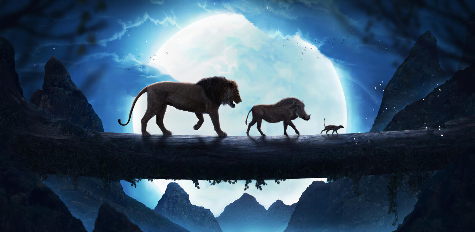 Wallpapers 2019 Movies lion king cartoons on the desktop