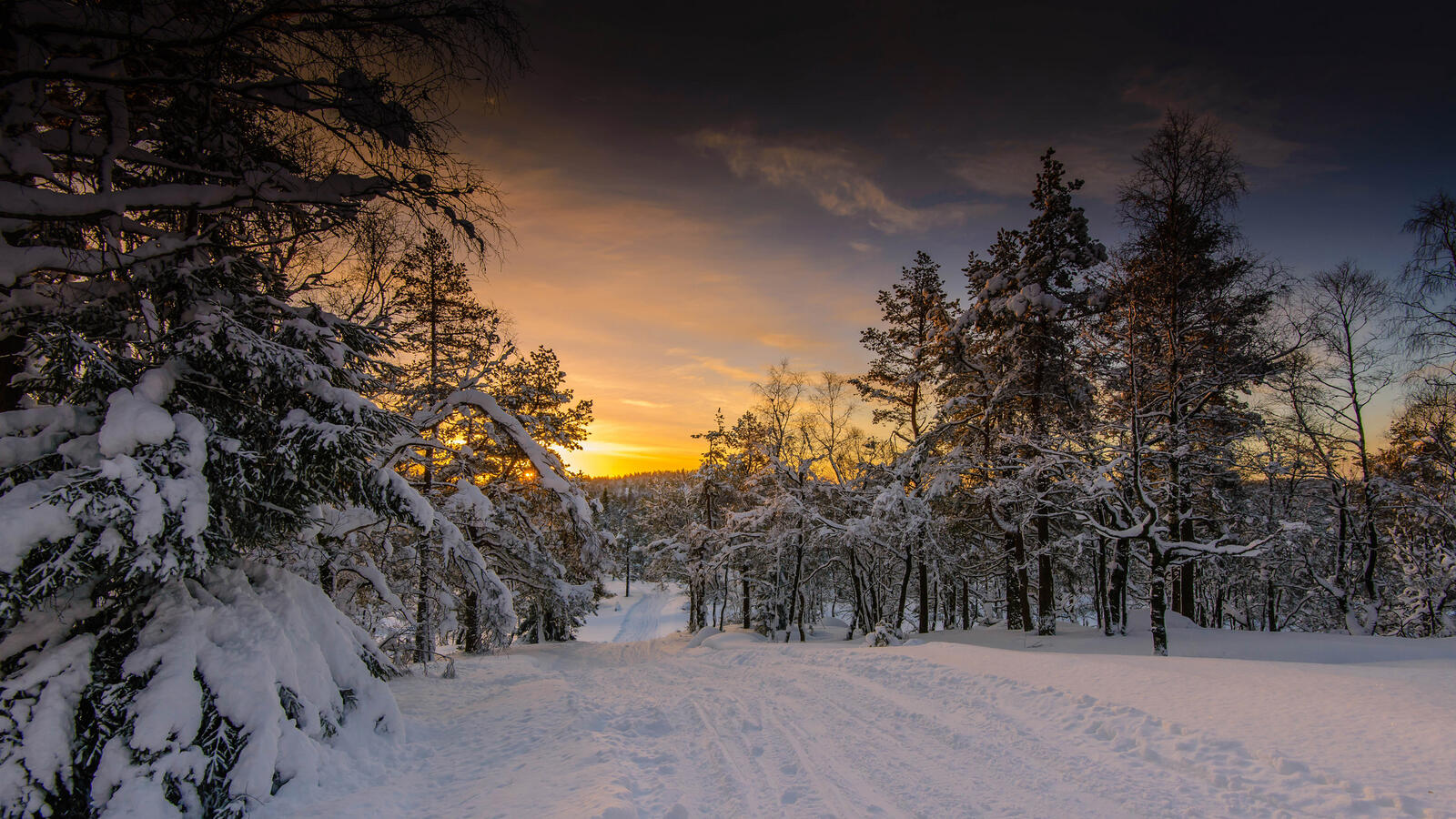 Wallpapers snow sunset Norway on the desktop