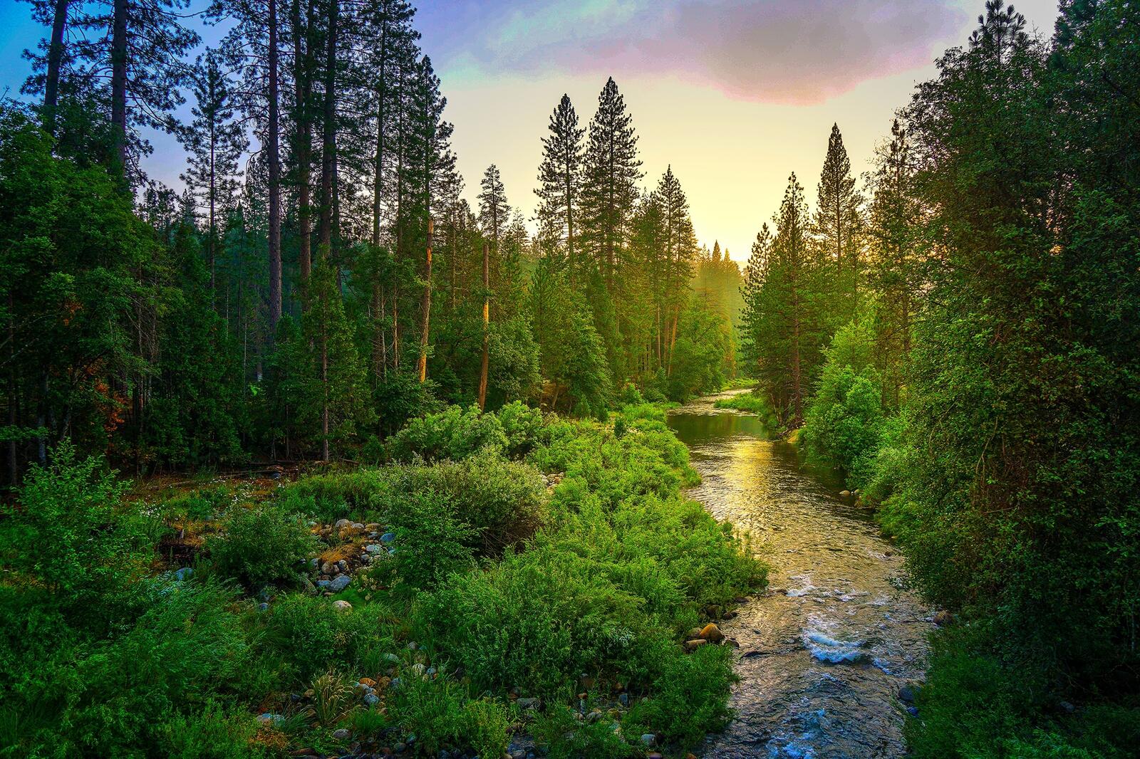 Обои природа йосемитский национальный парк США пейзаж на рабочий стол
