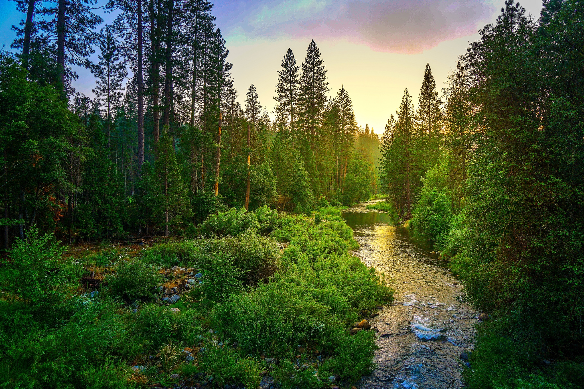 Фото бесплатно природа, йосемитский национальный парк США, пейзаж
