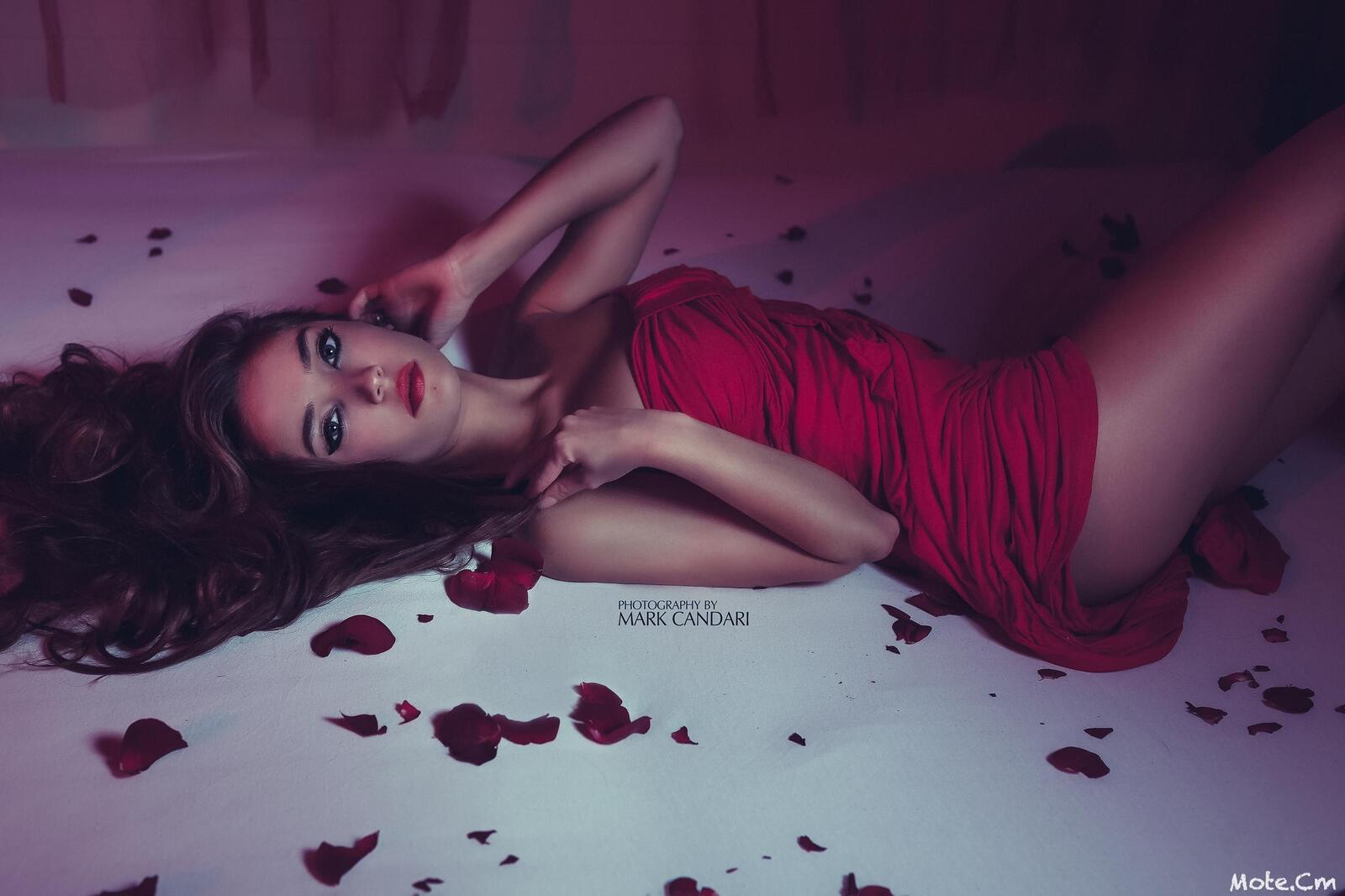 Бесплатное фото Красивая девушка и лепестки красных роз