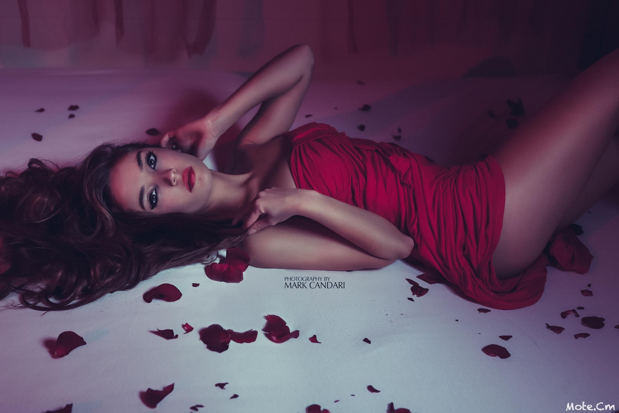 Beautiful girl and the petals of red roses · free photo