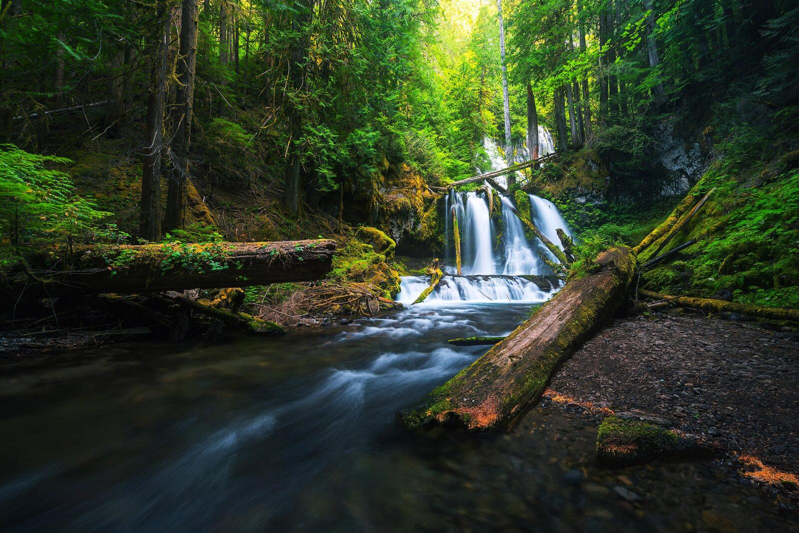 Обои Lower Panther Creek Falls Washington лес на рабочий стол