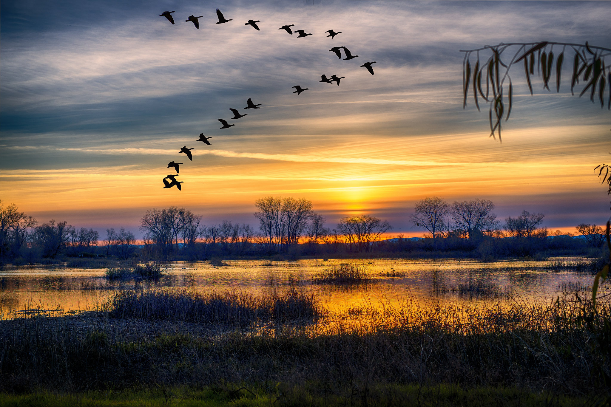 免费照片灰色小屋的日落和一群鸟