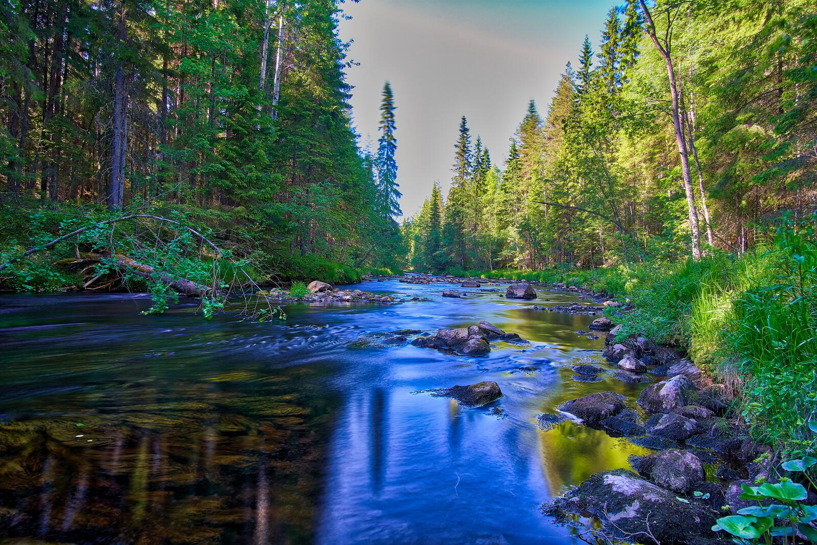Обои Финляндия река лес на рабочий стол