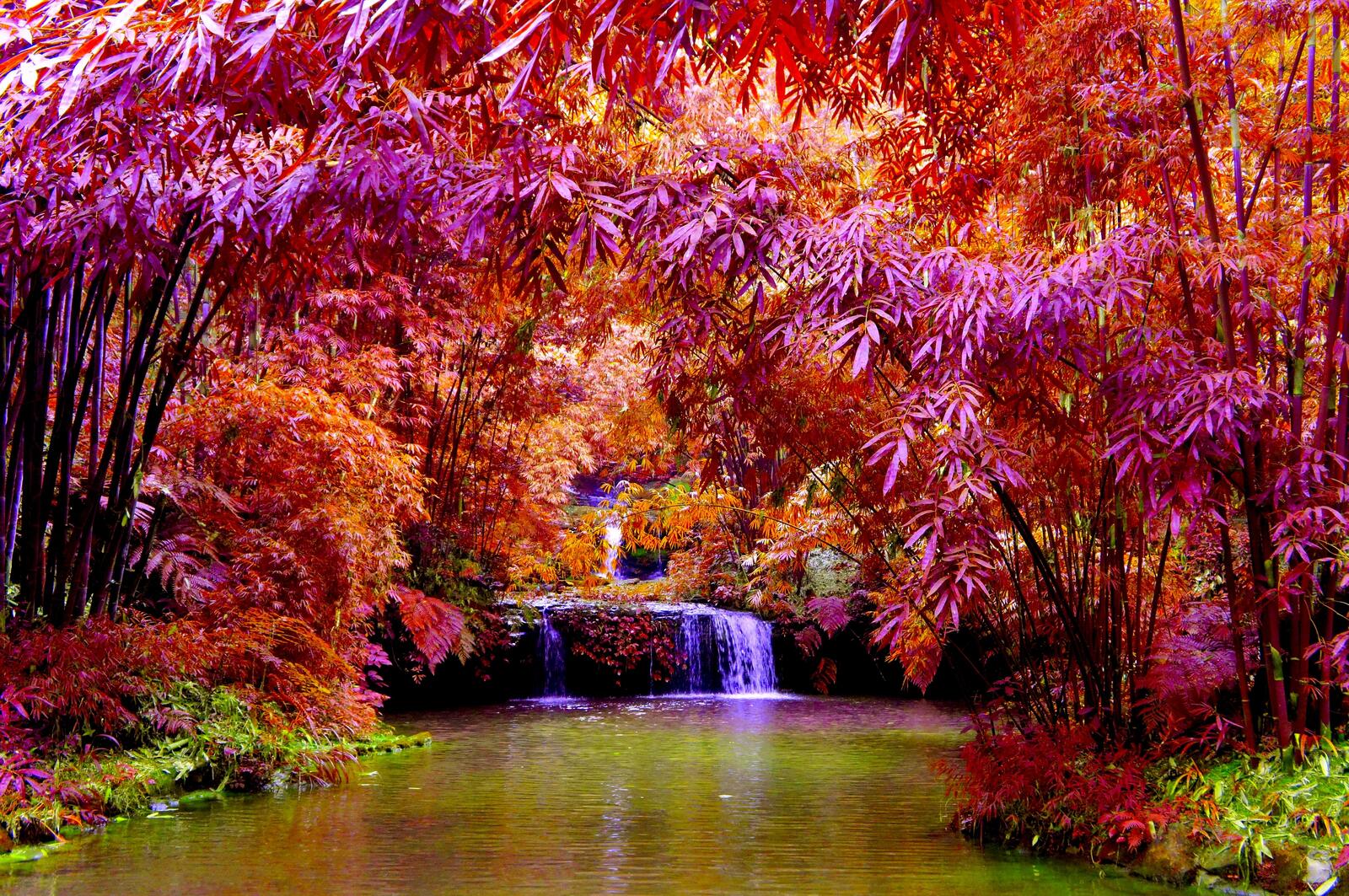 Wallpapers autumn colors waterfall pond on the desktop