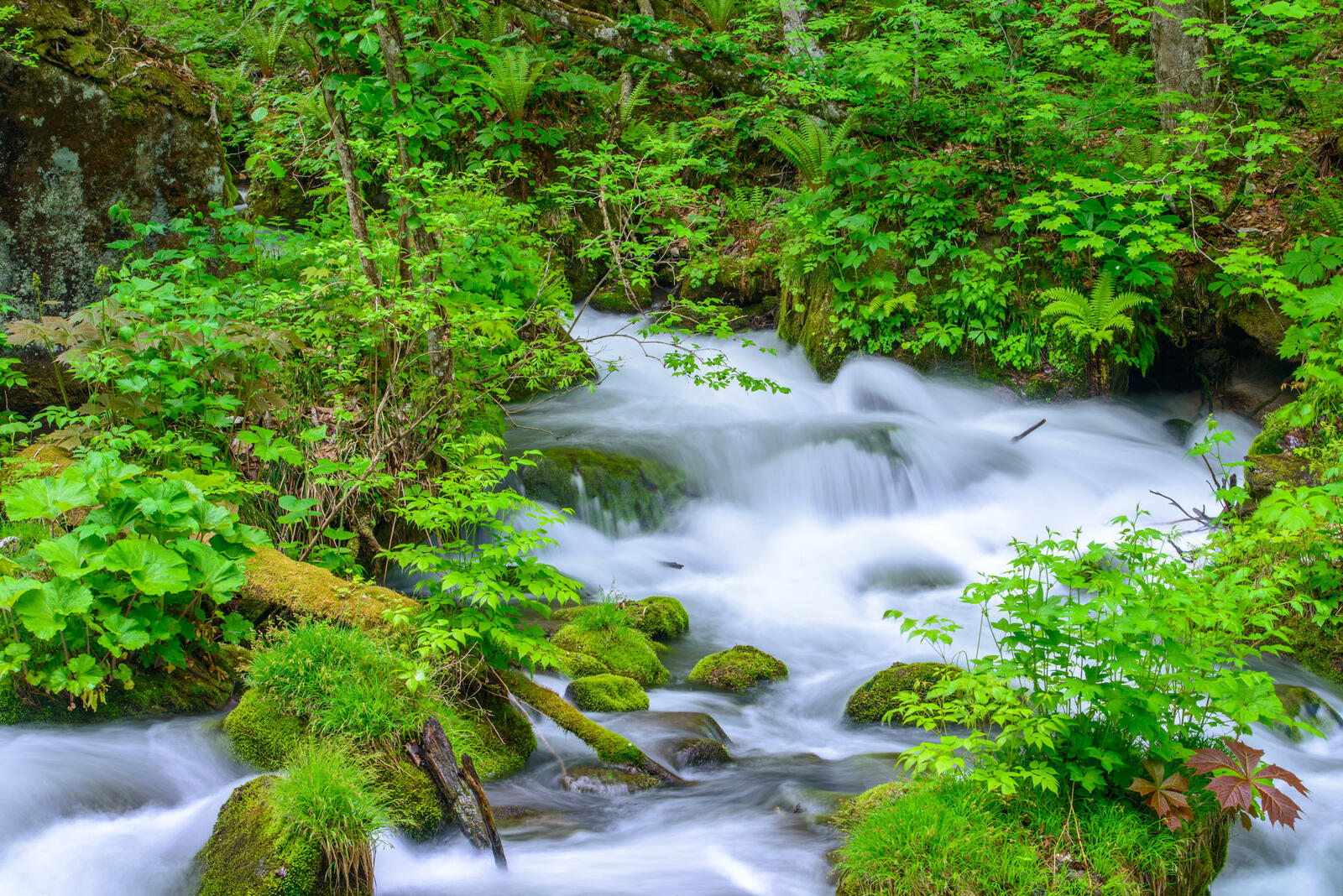 Wallpapers nature waterfall small river on the desktop