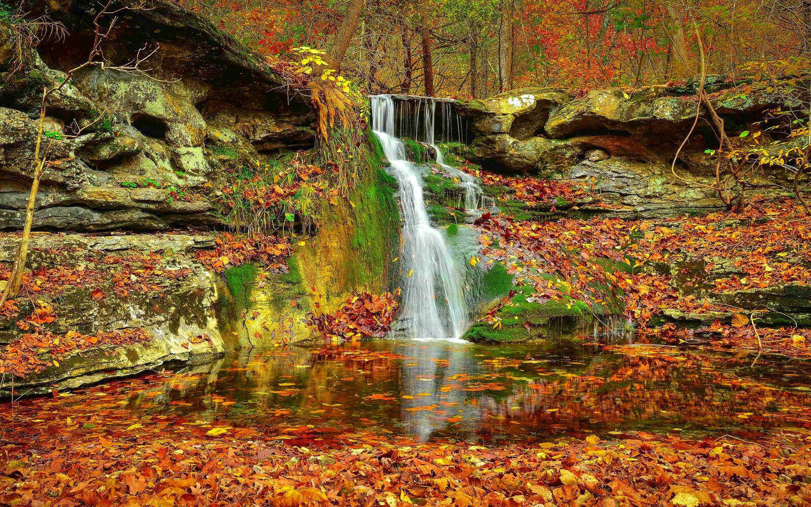 Бесплатное фото Ручей и маленький водопад в лесу