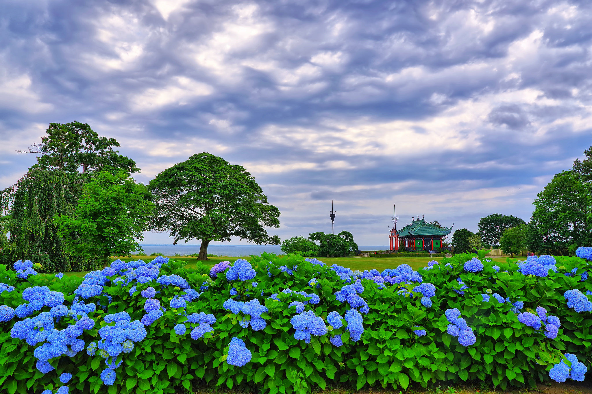 Долина цветущих гортензий, Тайвань