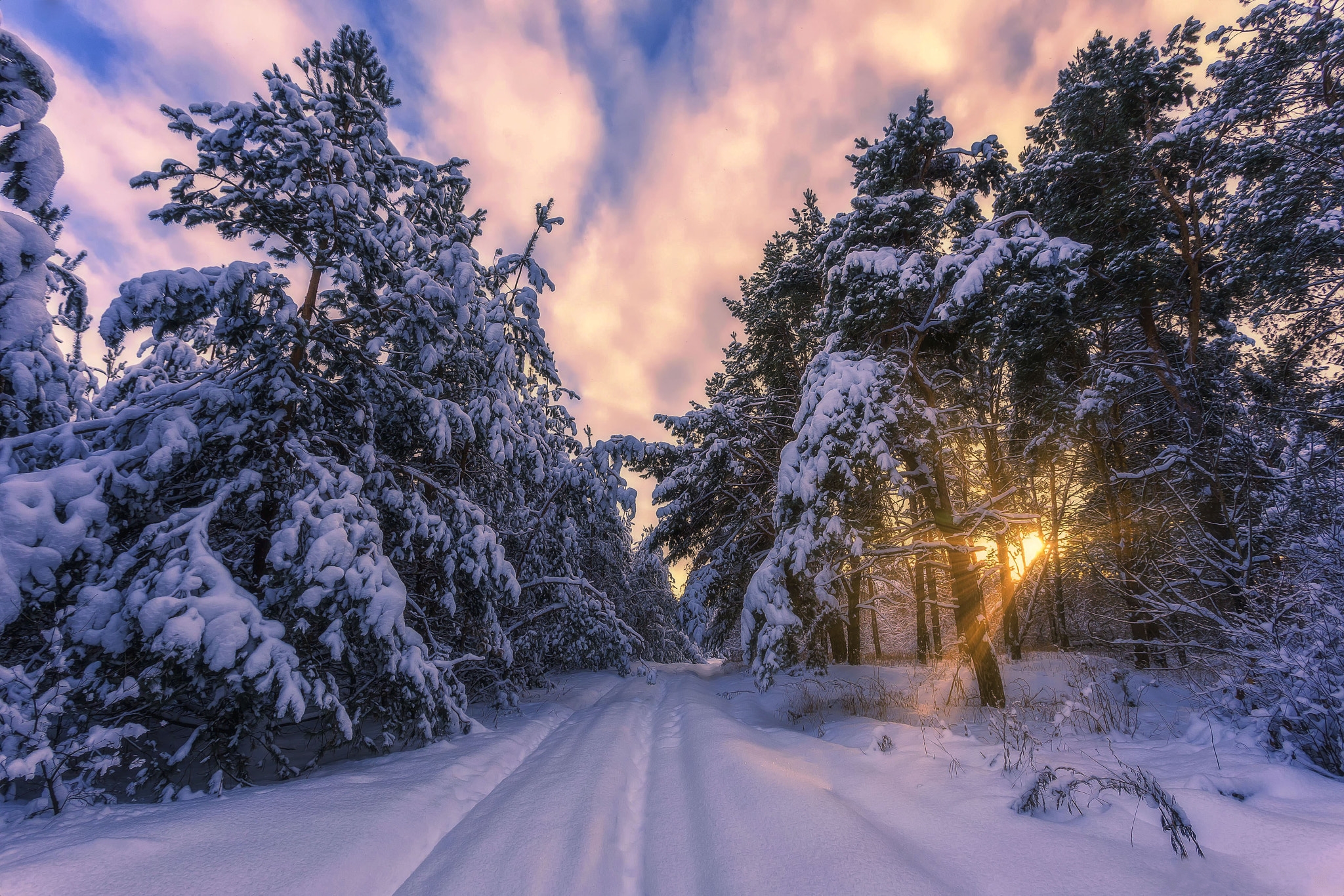 Бесплатное фото Усыпанная снегом дорога