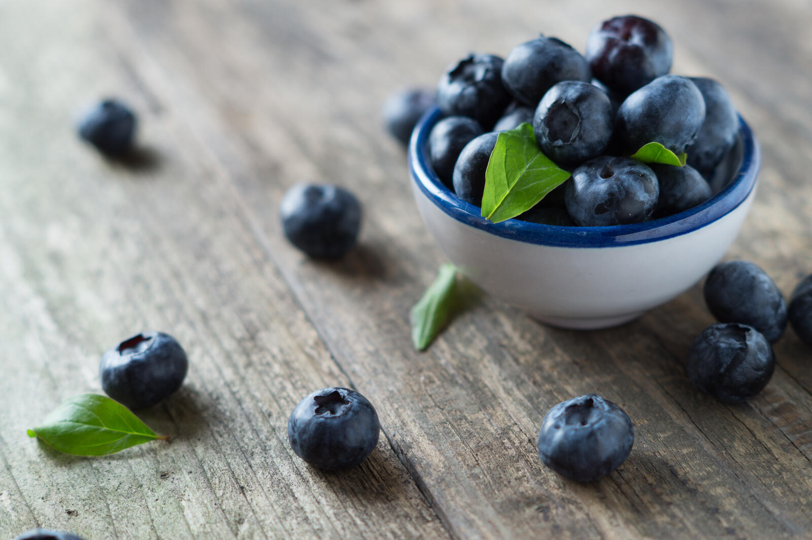 Free photo Black blueberries in a white bowl