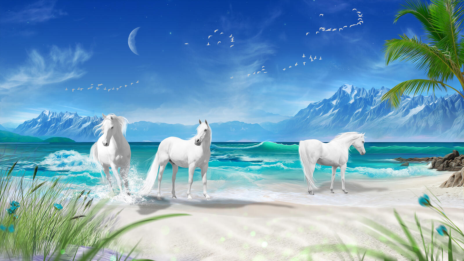 Wallpapers sea beach horse on the desktop