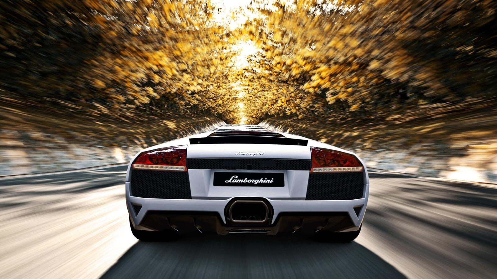 Wallpapers Lamborghini Gran Turismo 5 back view on the desktop