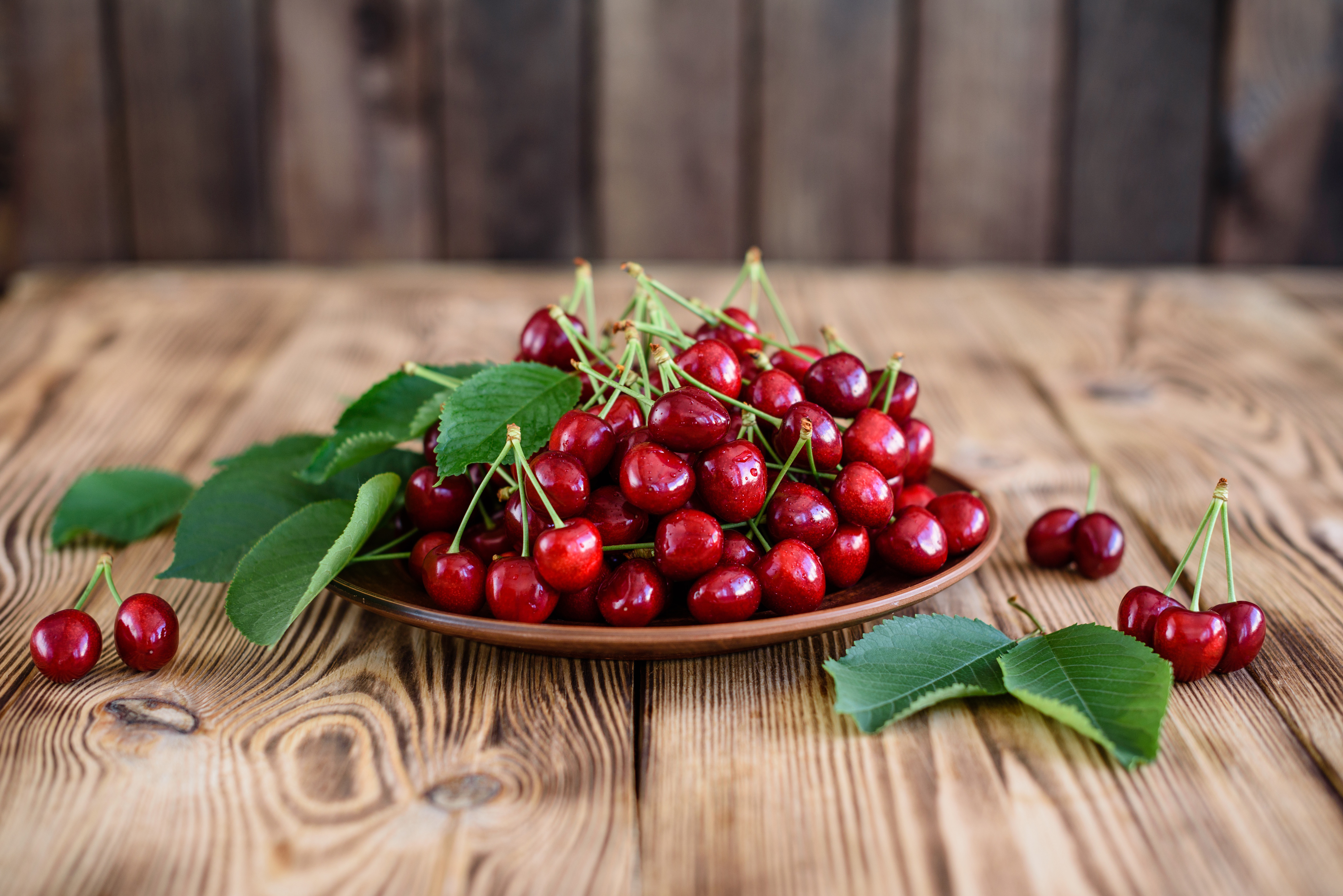 Free photo Plate with tasty cherries
