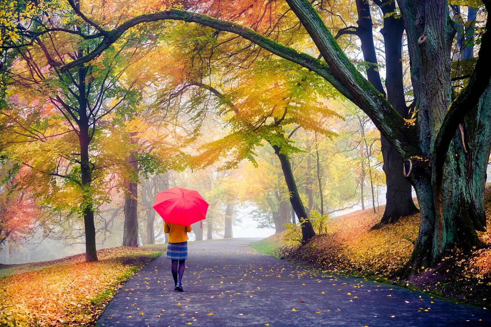 Wallpapers landscape road girl with umbrella on the desktop