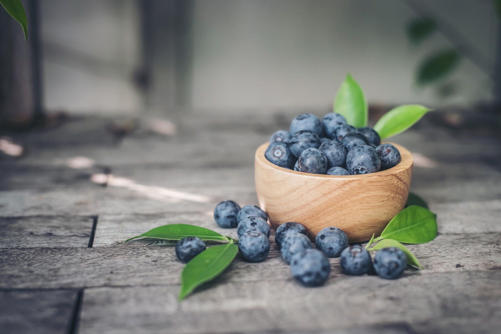 Free photo Blueberries in a wooden pialki