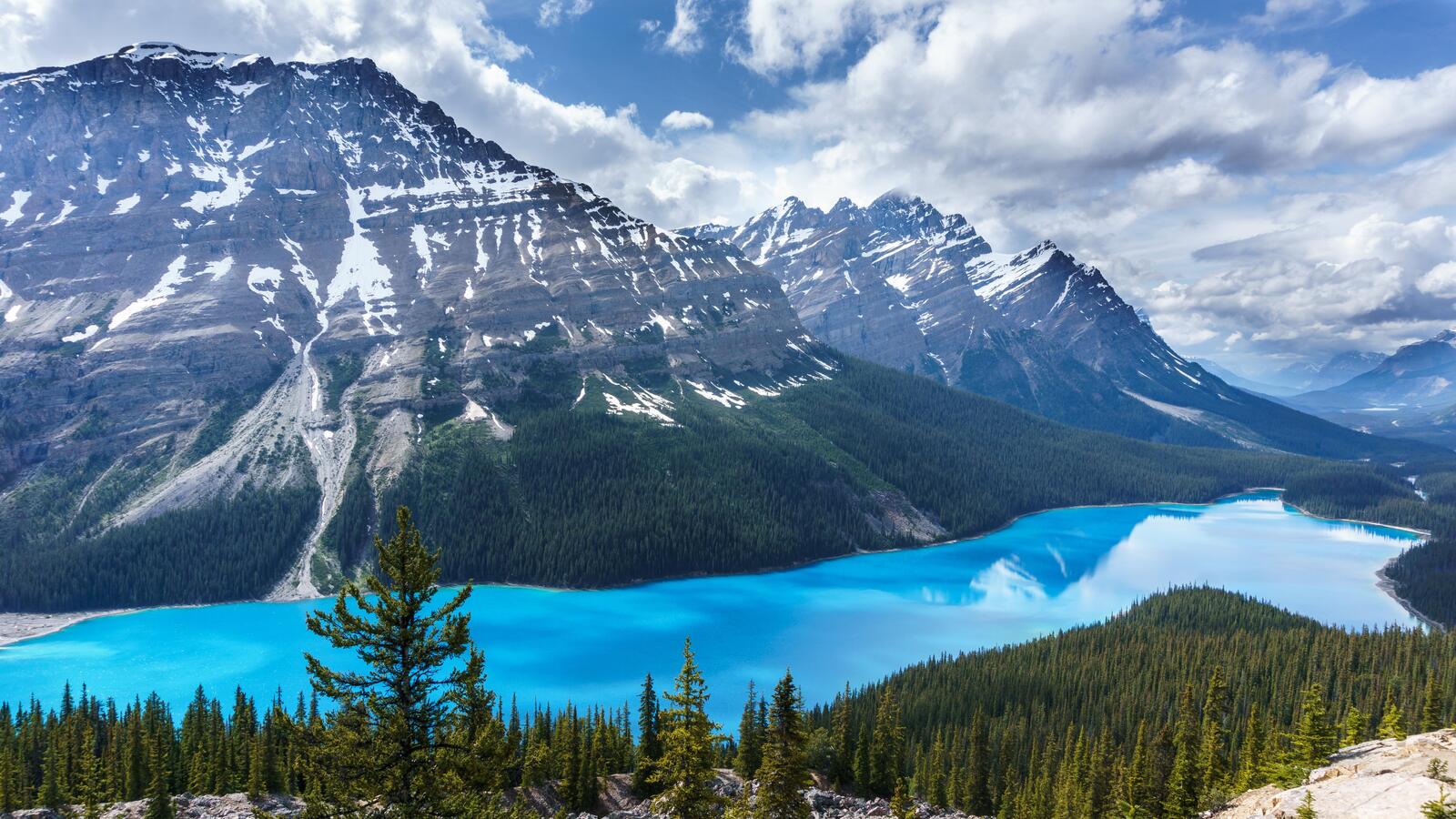 免费照片加拿大Peyto的美丽清澈的湖水