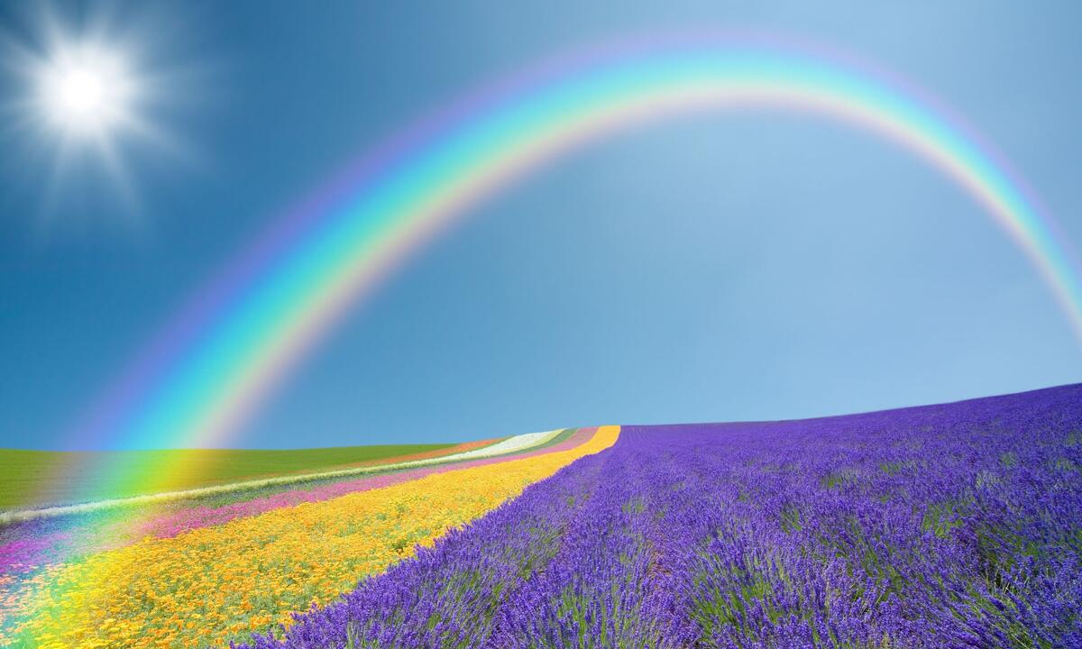 Colorful field with a rainbow