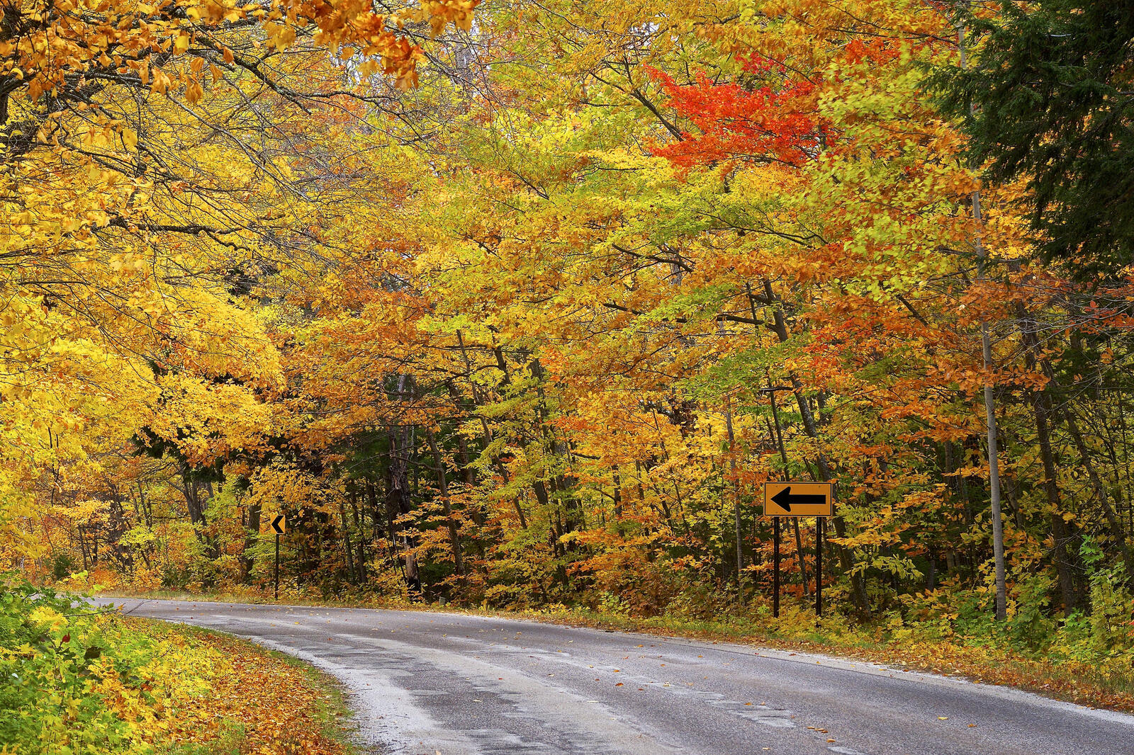 Wallpapers fall colors nature autumn road on the desktop