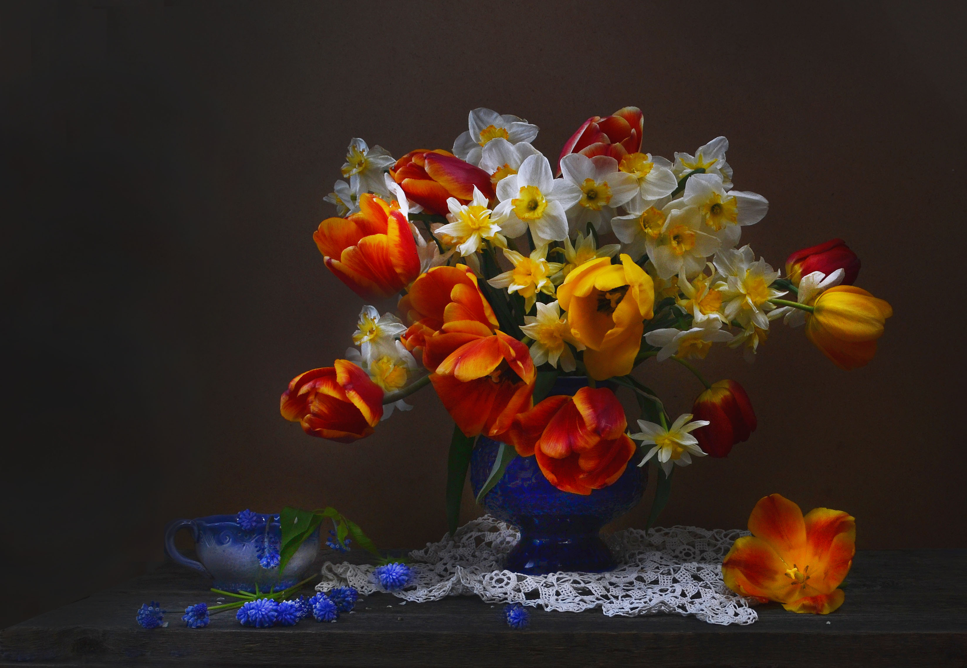 Wallpapers flowers still life daffodils on the desktop