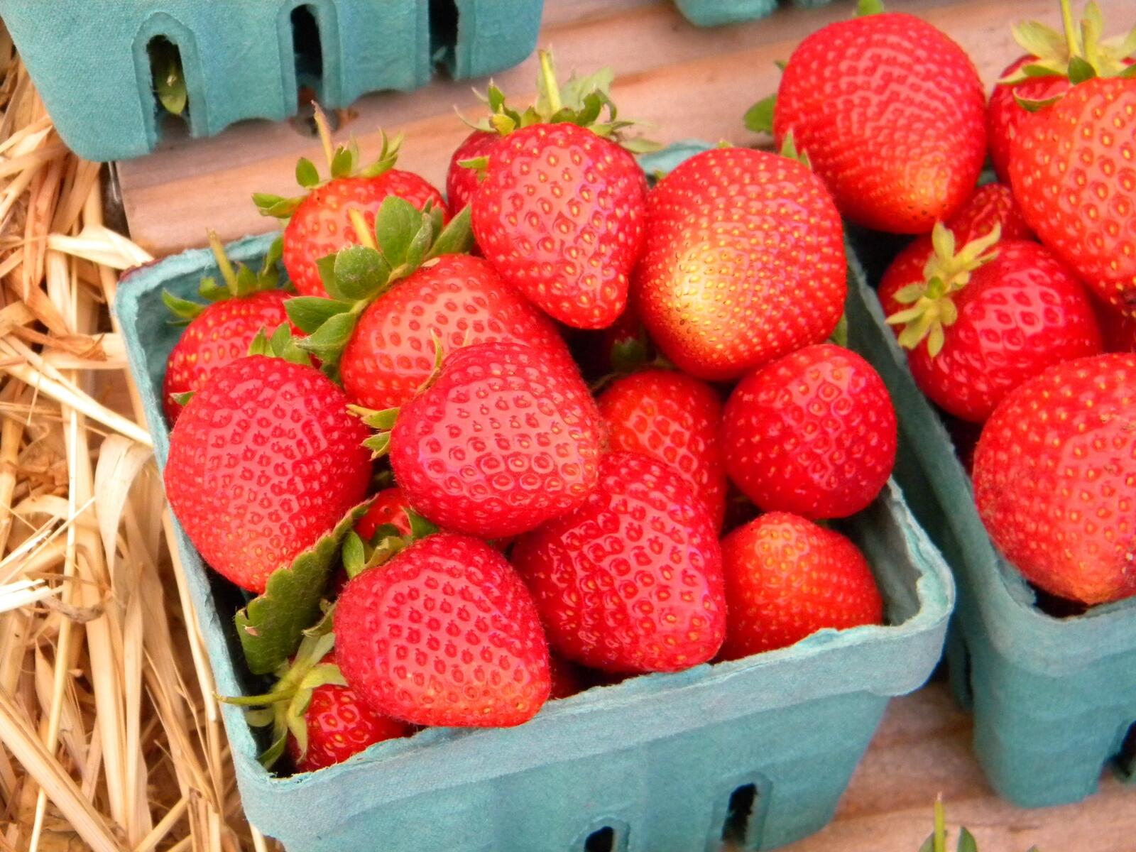 Wallpapers strawberry fruits basket on the desktop