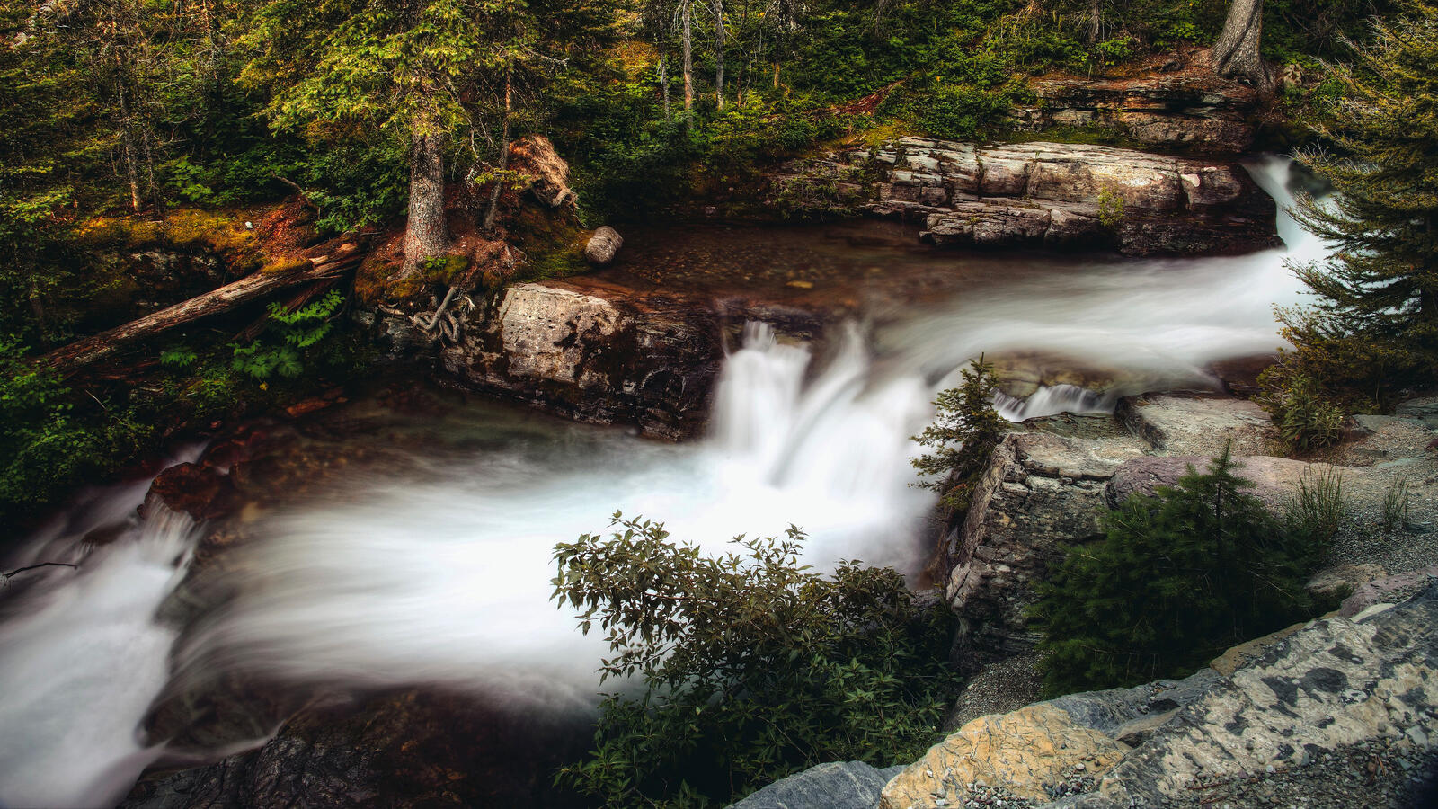 Бесплатное фото Водопад в лесу среди камней
