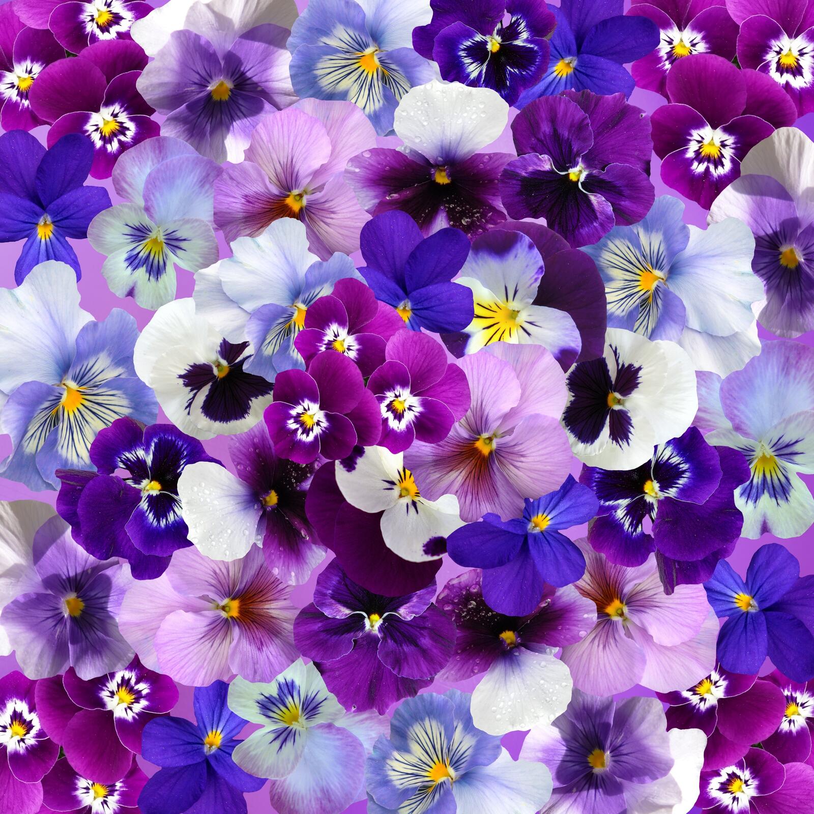 Free photo Floral background