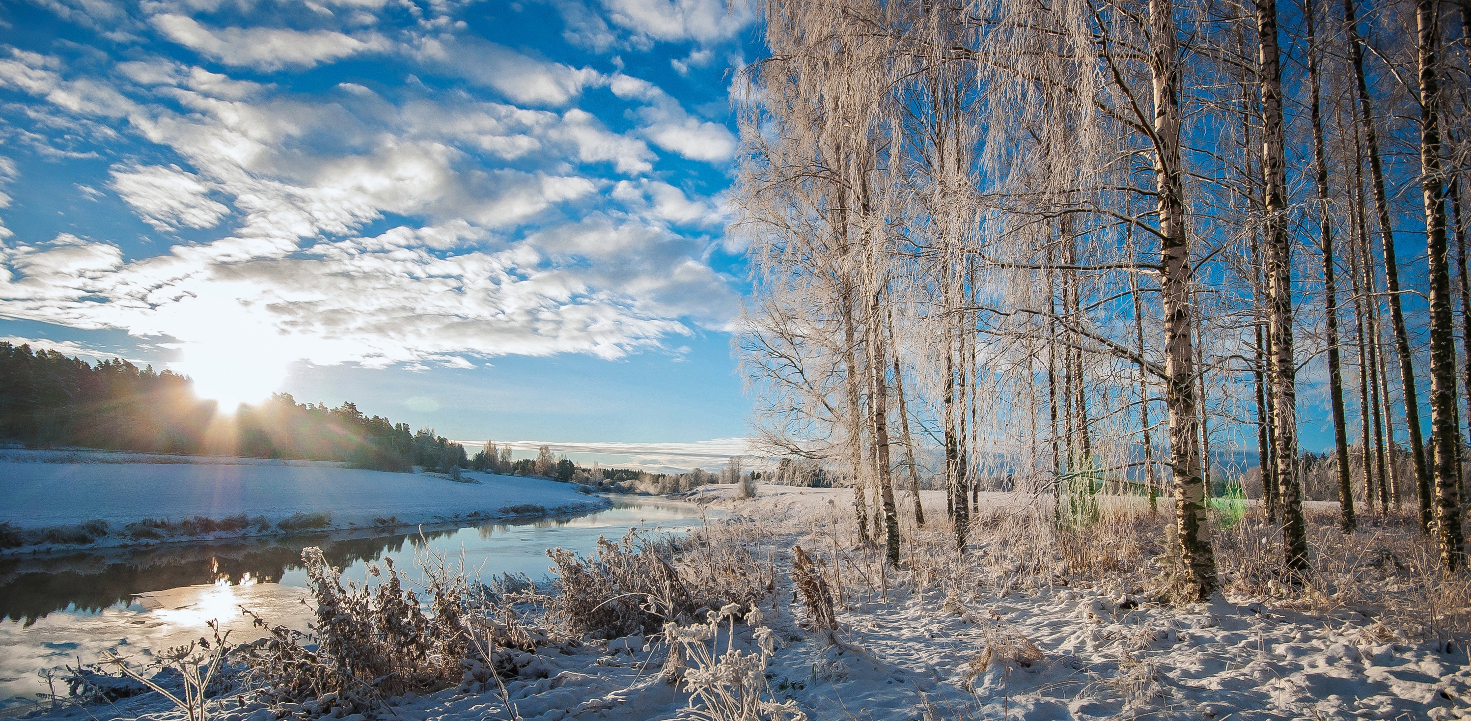 Finland - winter panorama