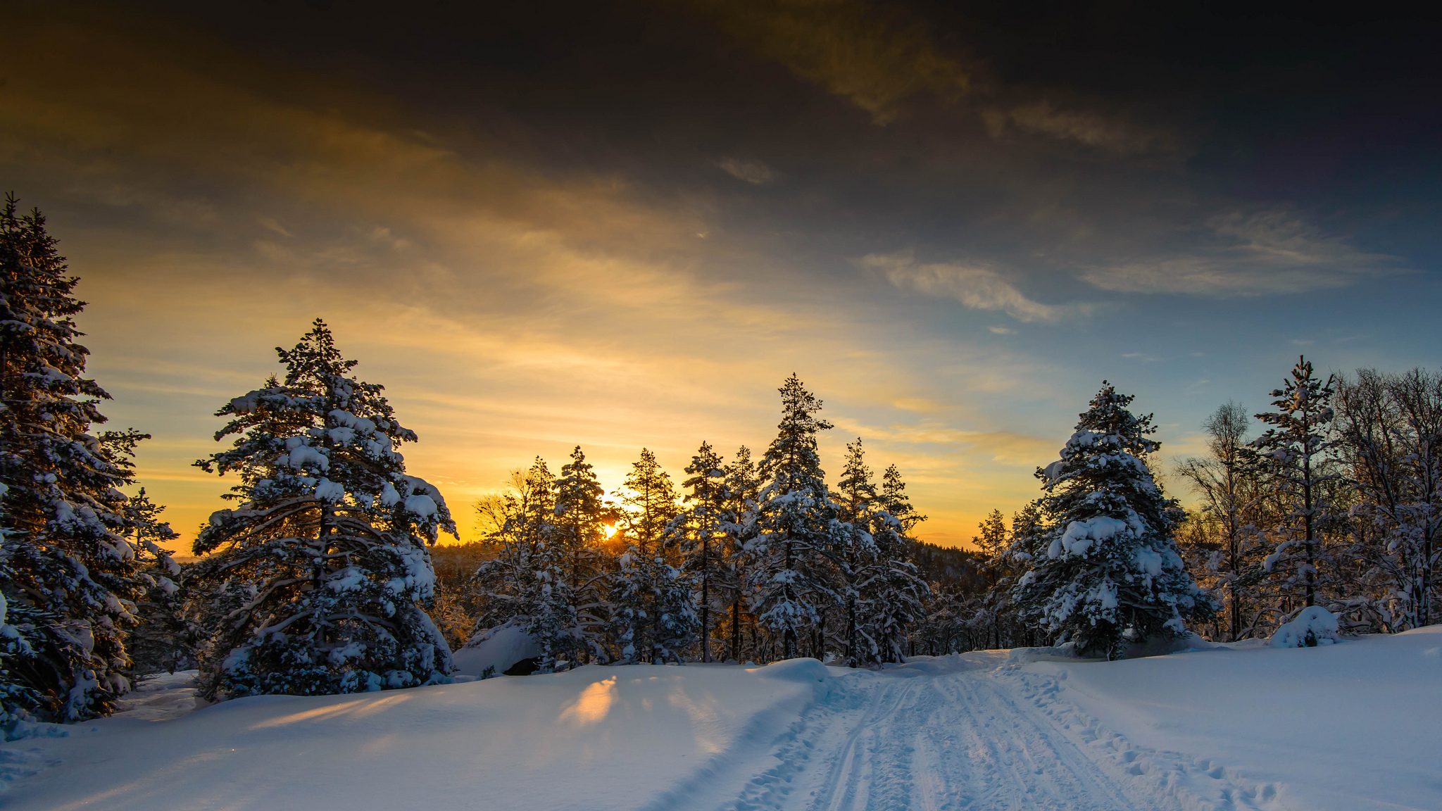 Бесплатное фото Янтарный закат зимой
