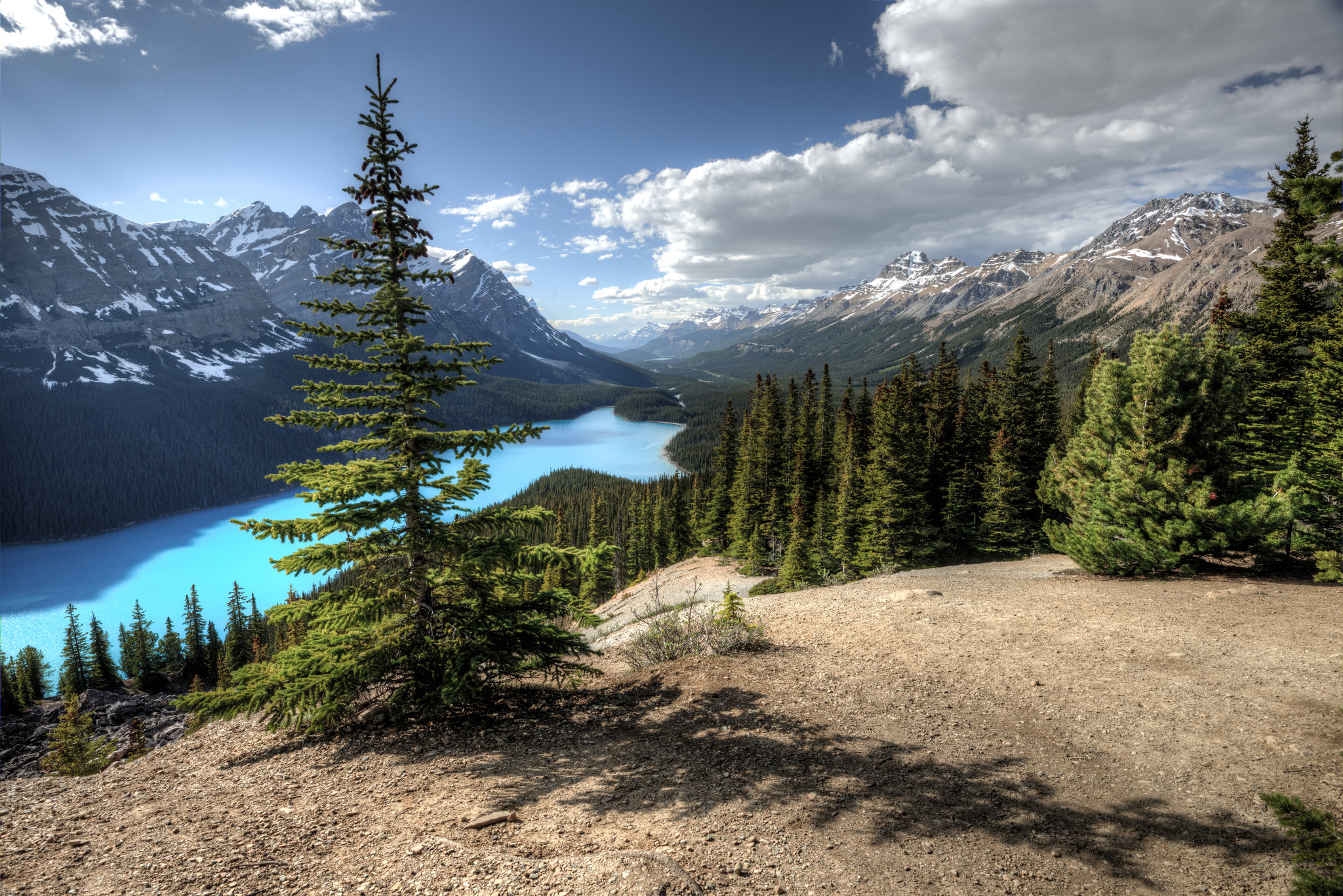 Wallpaper Peyto Lake Blue Water Banff National Park Free Pictures On