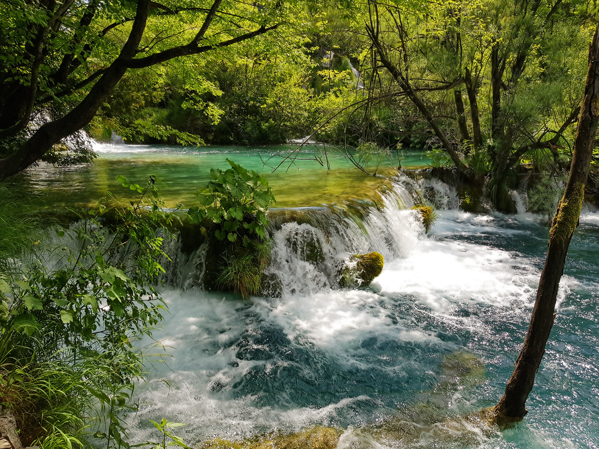 Wallpapers river Plitvice Lakes national park landscape on the desktop