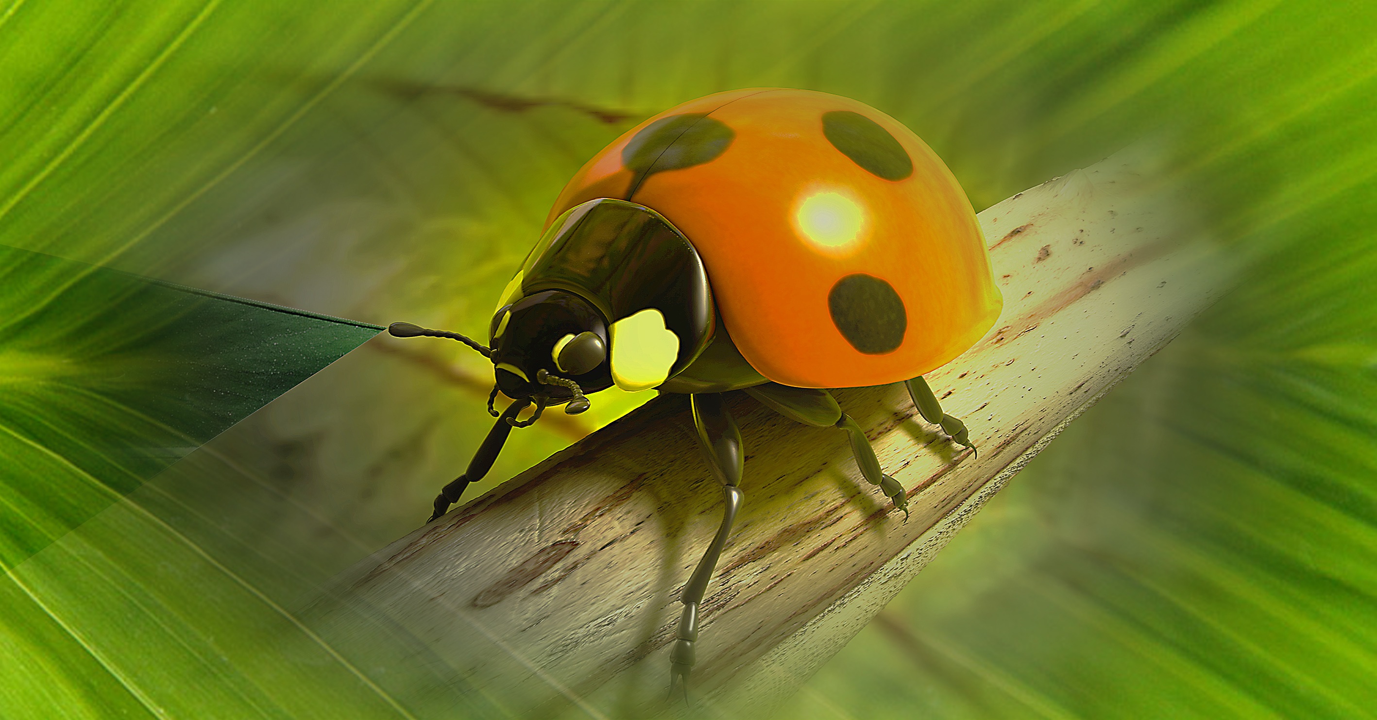 Photo free ladybug, computer animation, animation