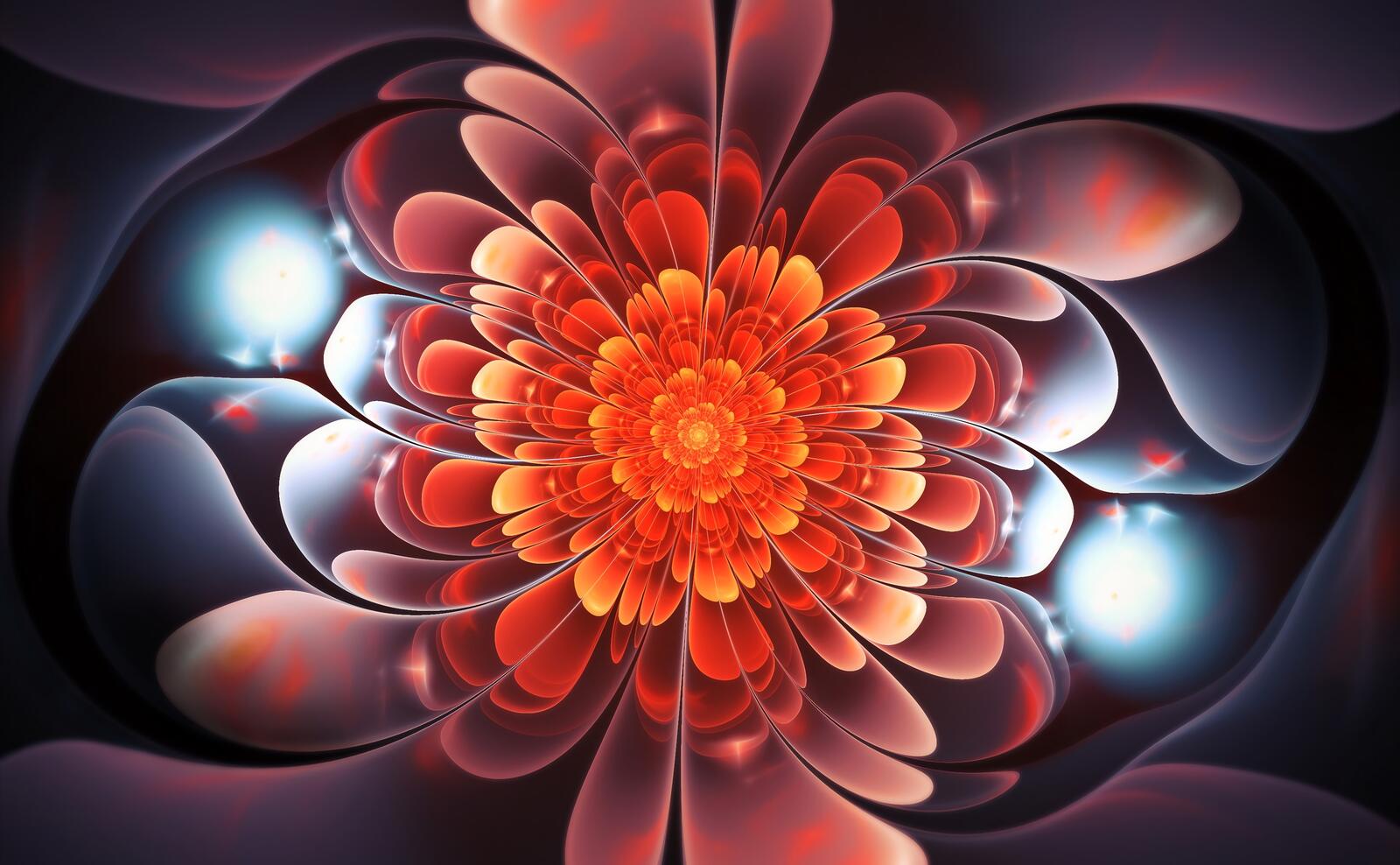 Wallpapers fractal flower twisted glowing on the desktop