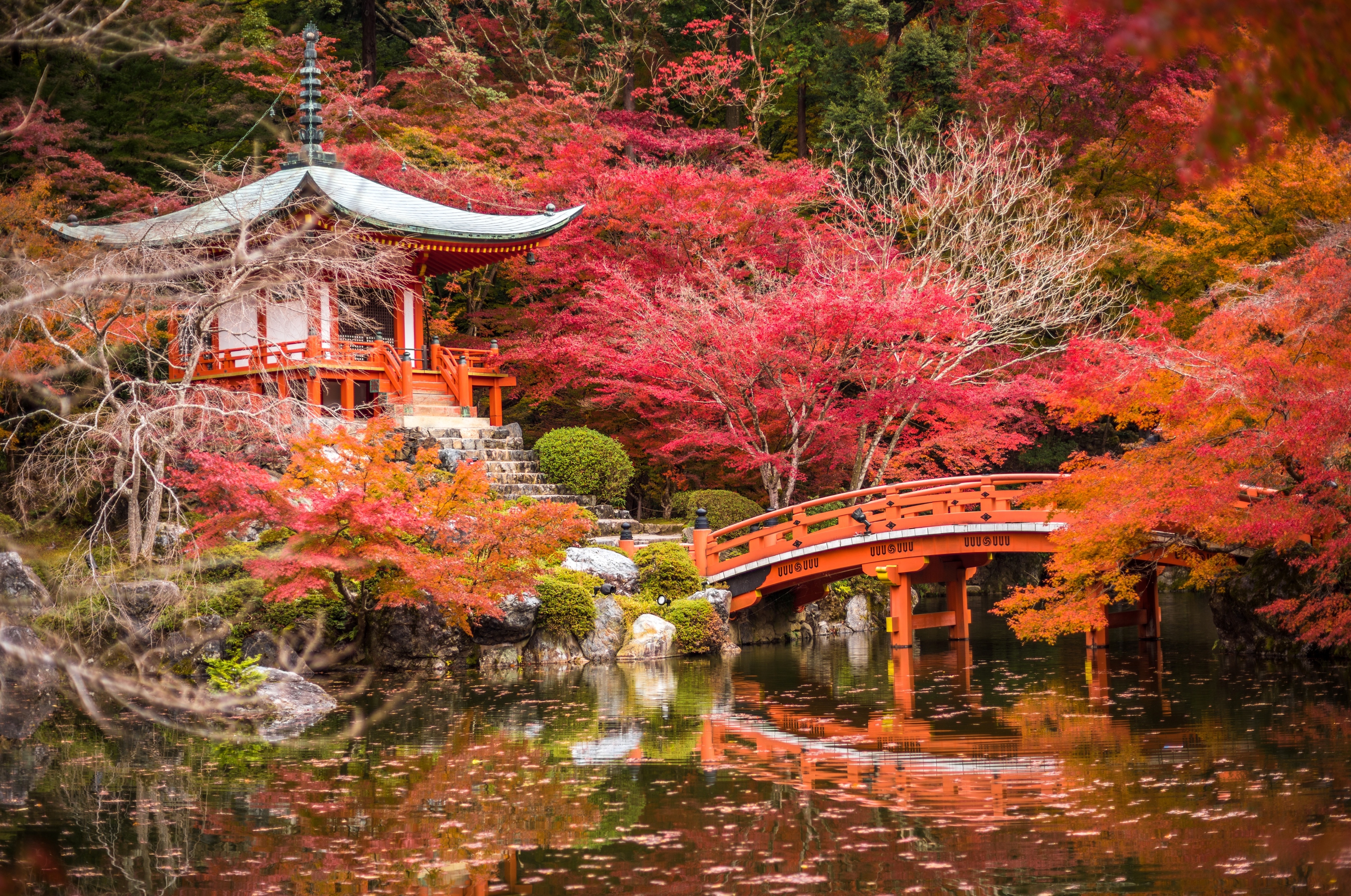 Free photo A temple in the autumn forest of Japan