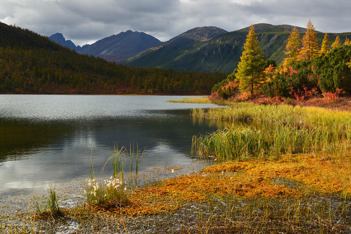 Mountains and lake autumn