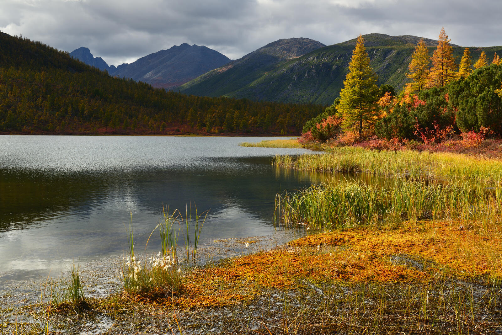 Бесплатное фото Горы и осеннее озеро