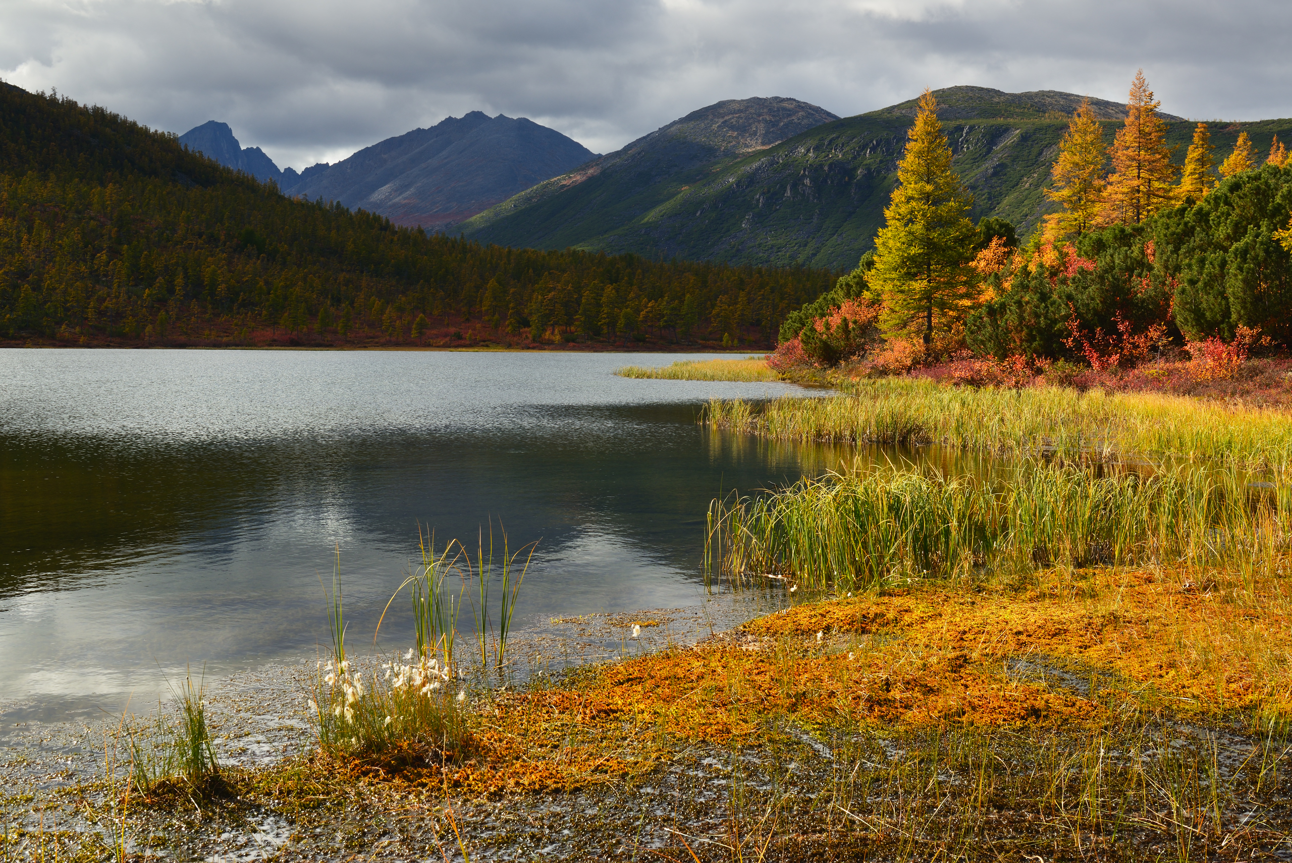 Горы и осеннее озеро · бесплатное фото