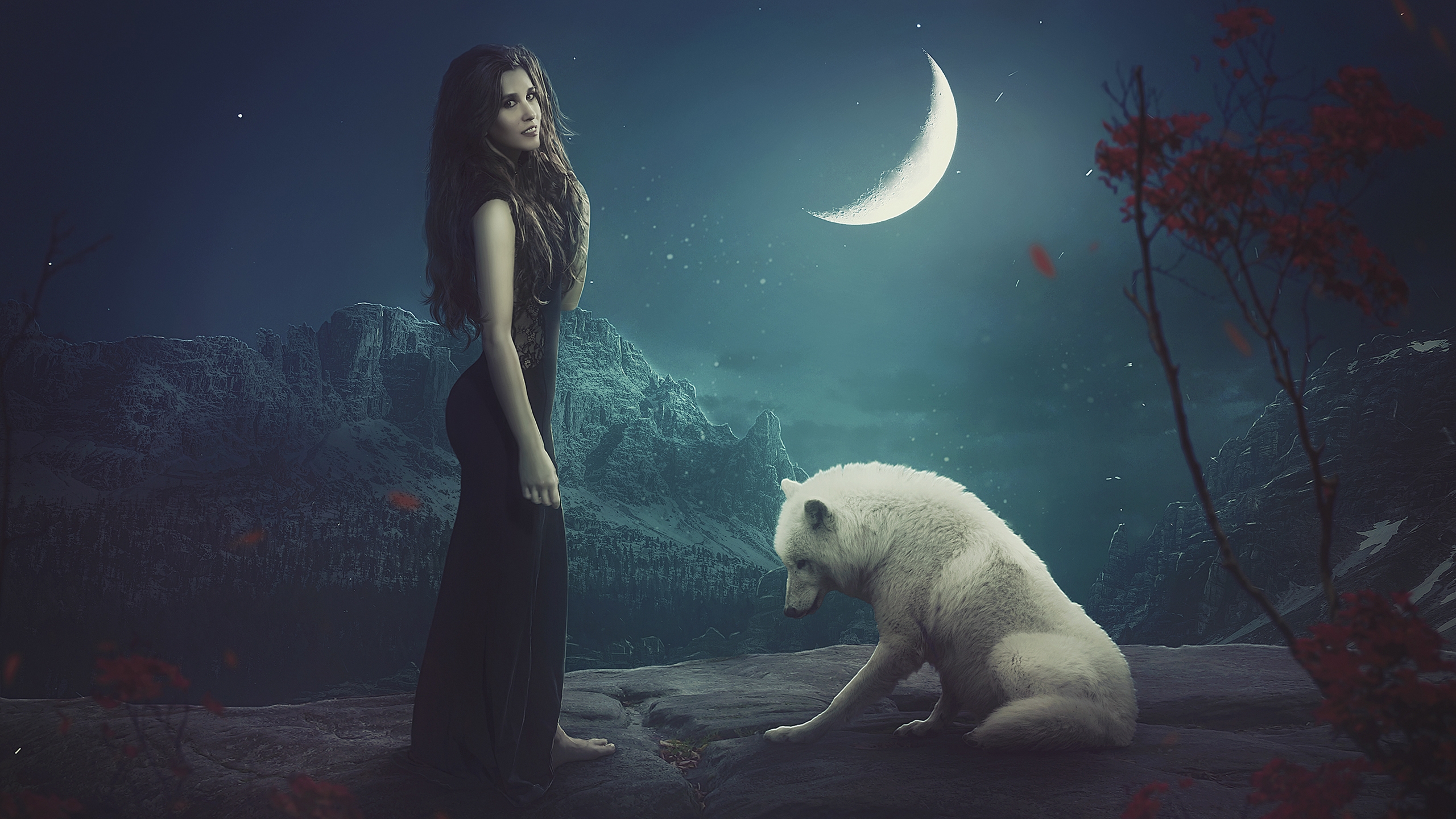 Фото бесплатно белый волк и женщина, полумесяц, звезды