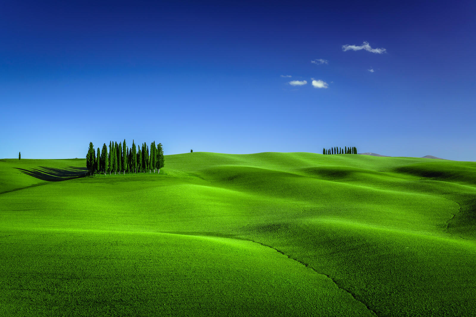 Wallpapers Tuscany Italy grass on the desktop