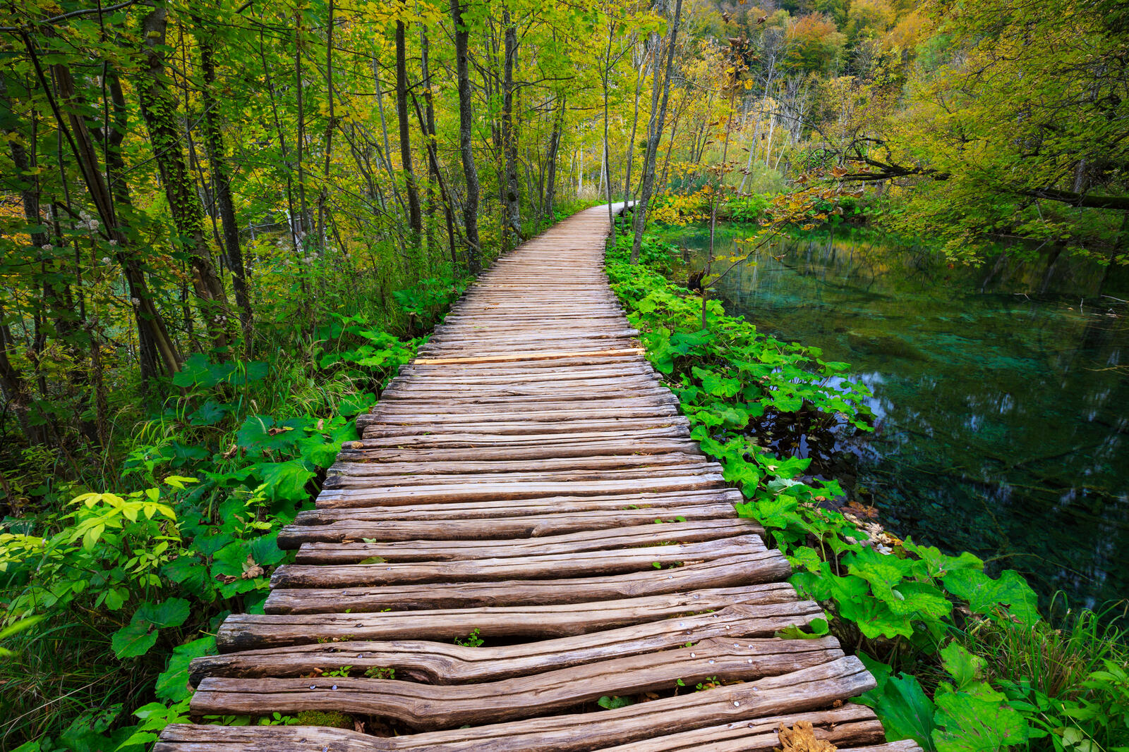 免费照片下载Plitvice Lakes Screensaver, 克罗地亚