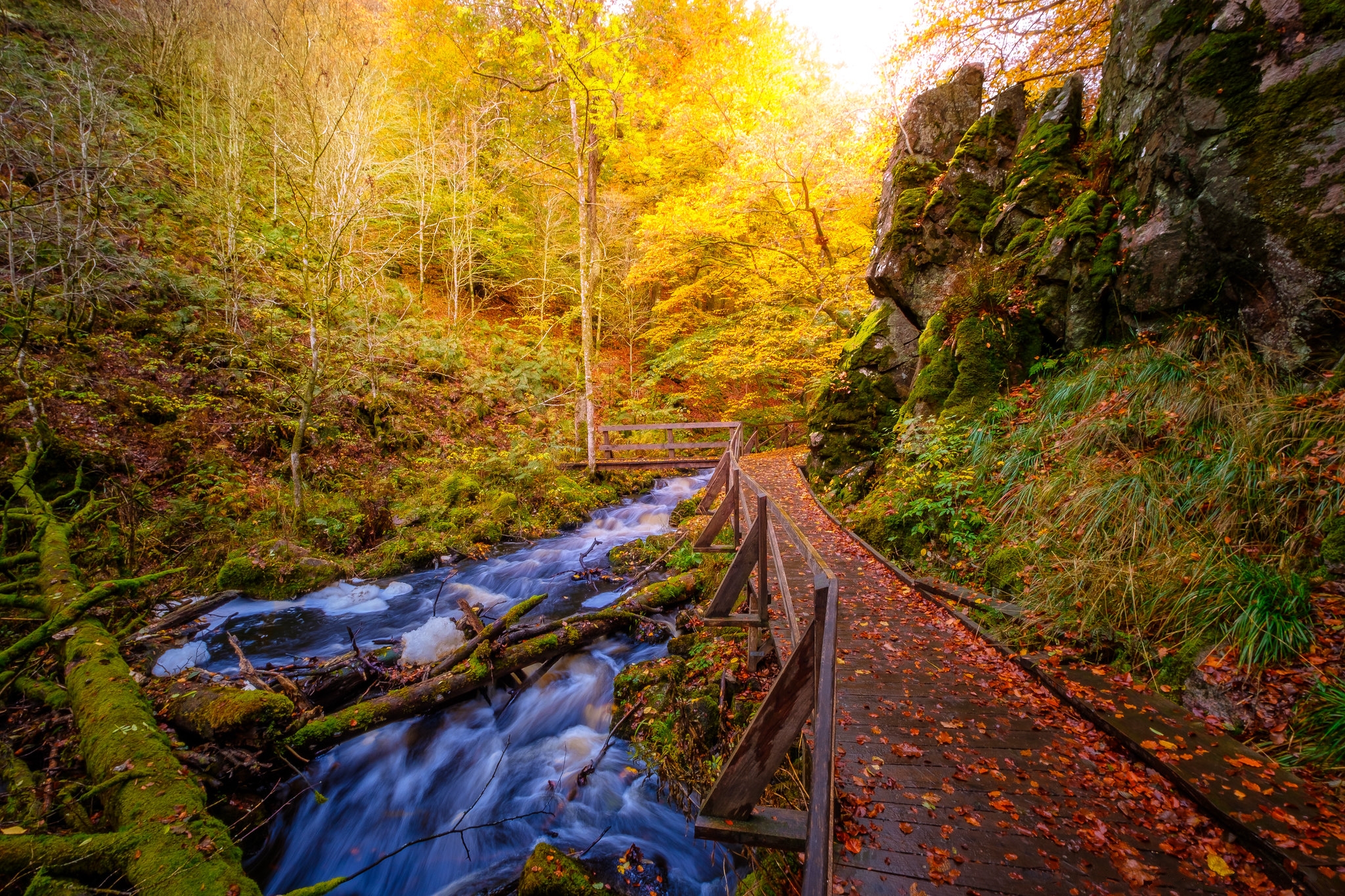Фото бесплатно Швеция, осень, река